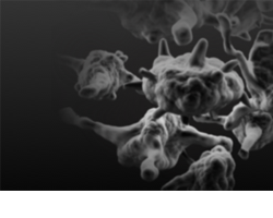 Orthobiologics Products