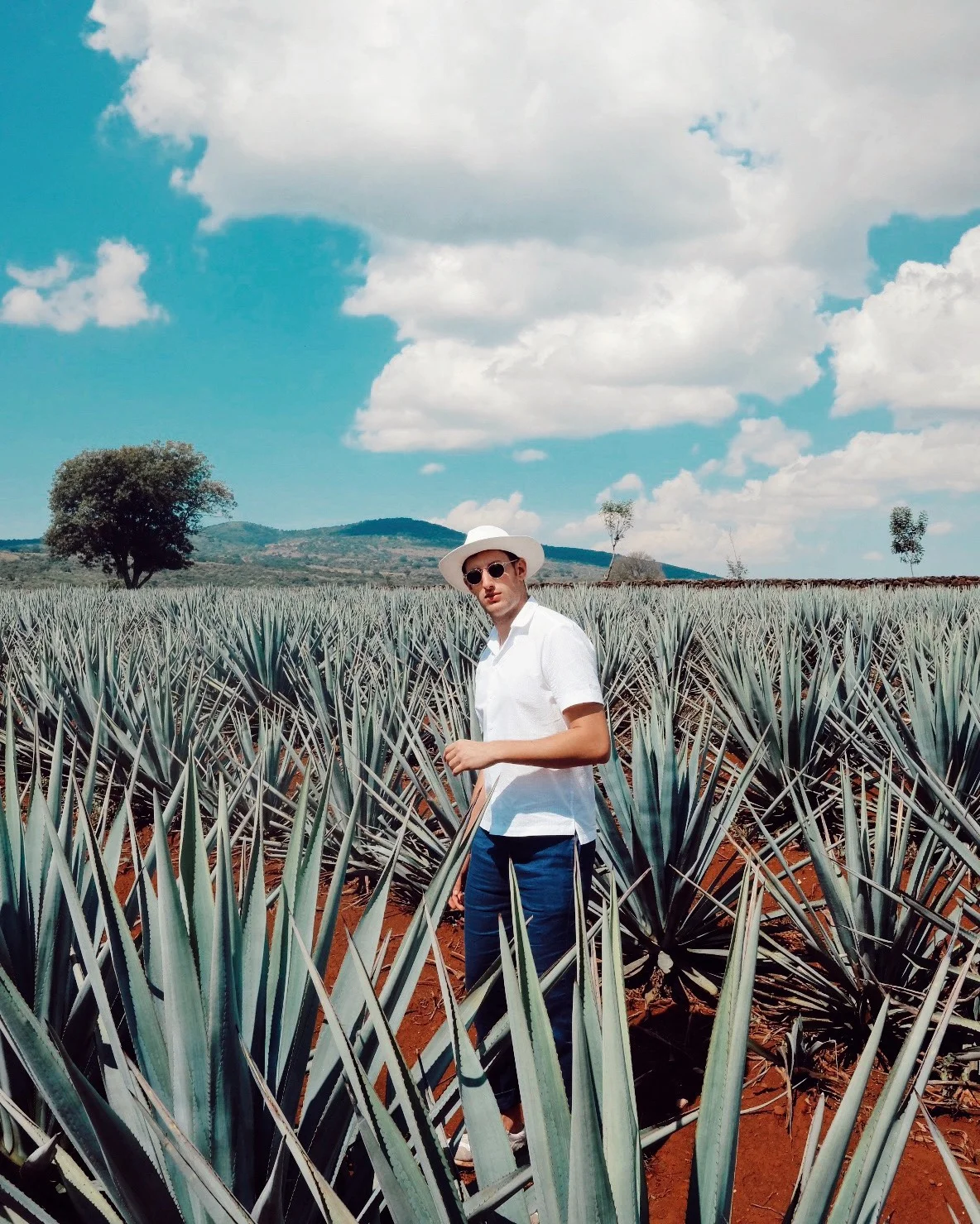 In the agave field wearing Frescobol Carioca