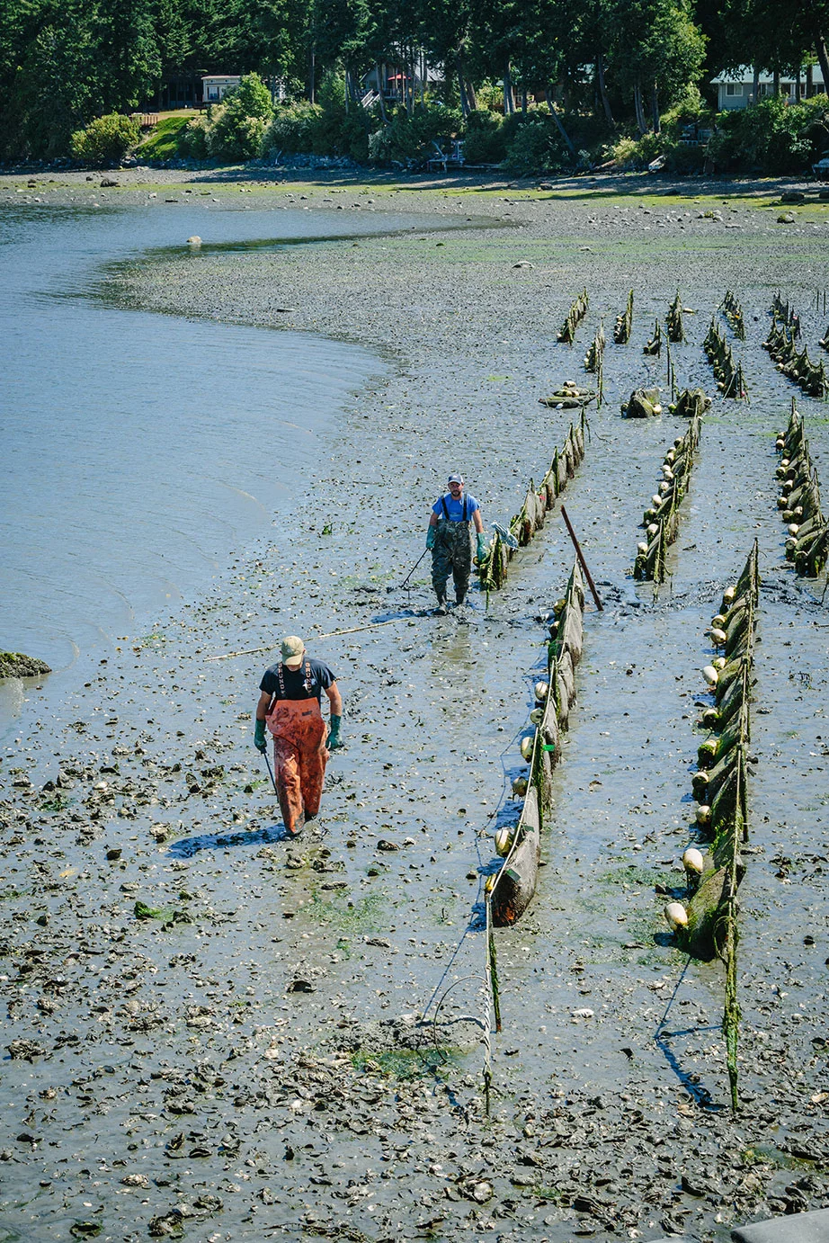 AQUACULTURE_Spinski_017.jpg
