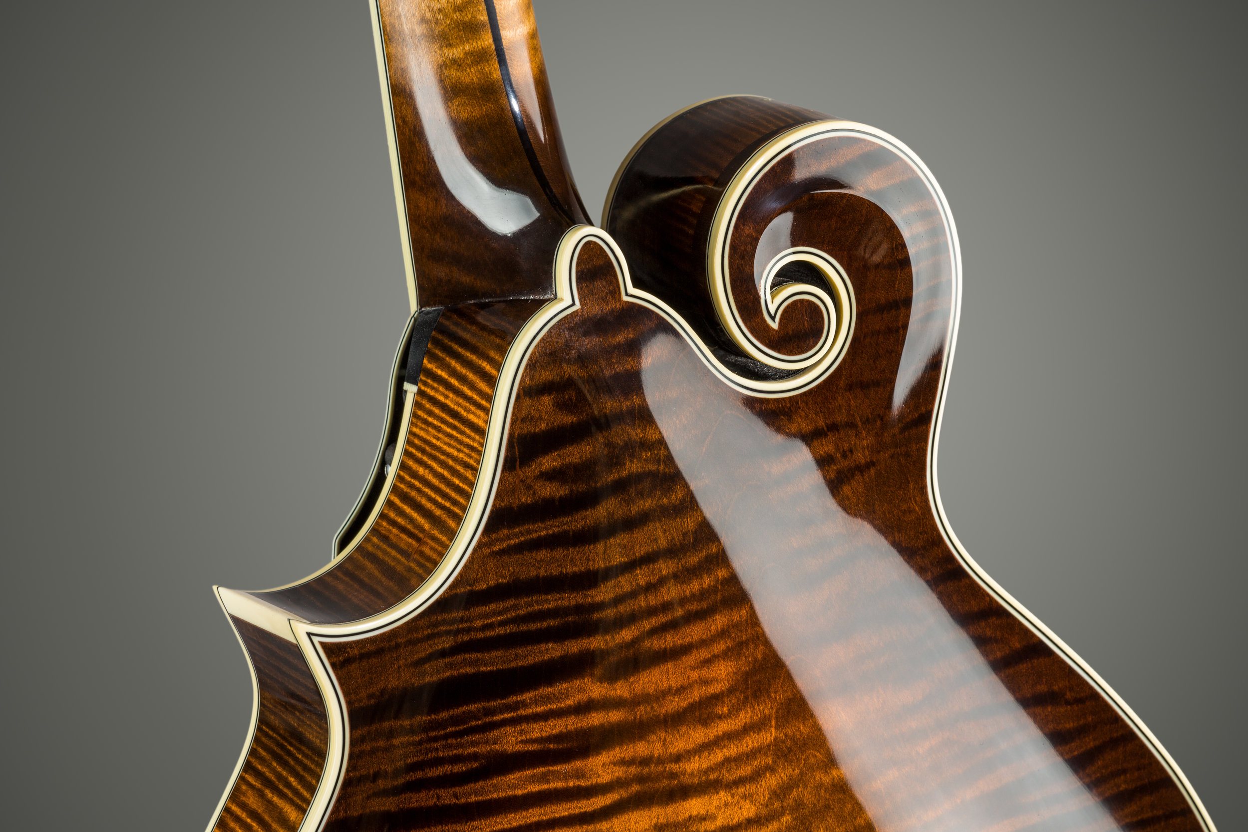 ArtistSeries_06.jpg