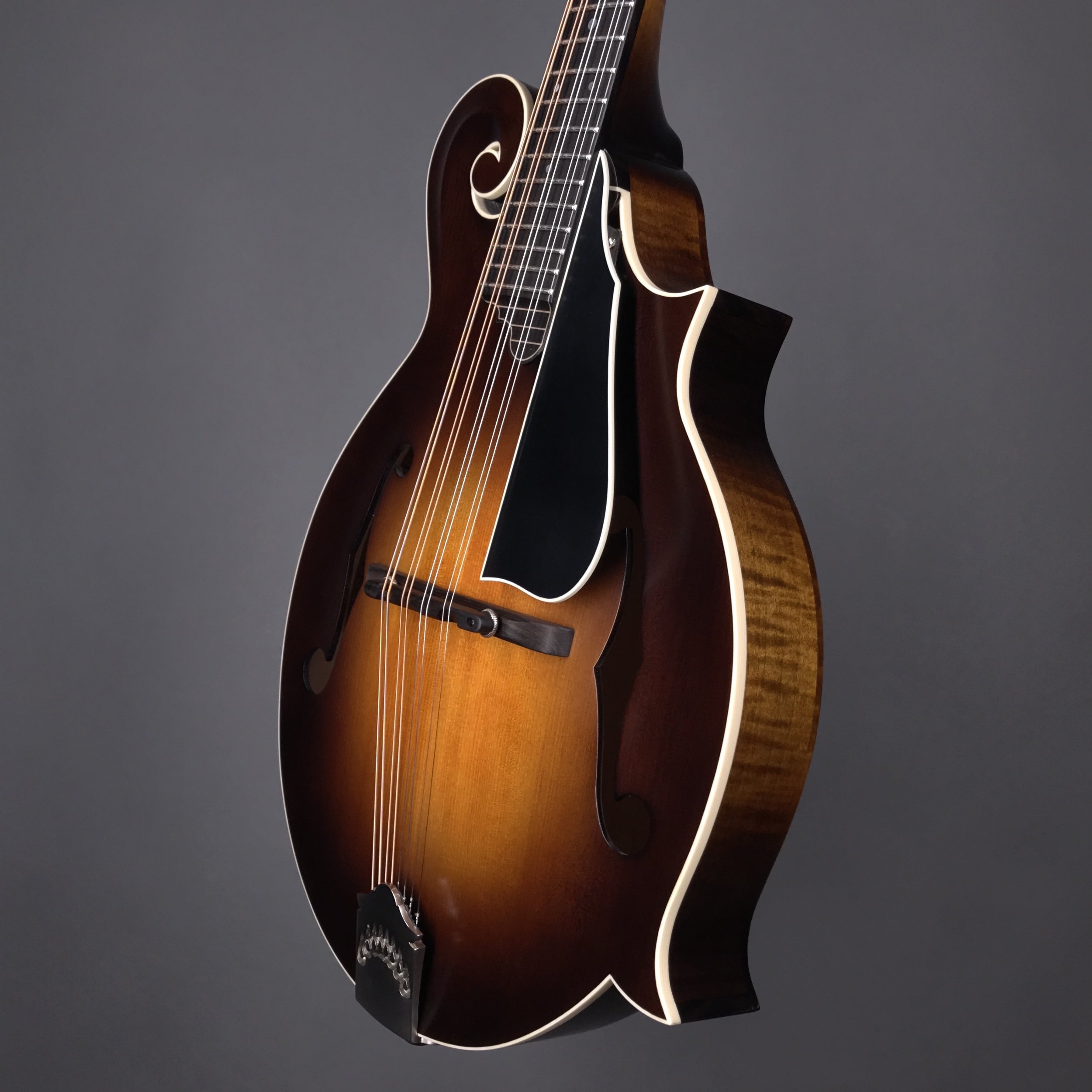 S-series standard sunburst (S2301037)-3.jpg