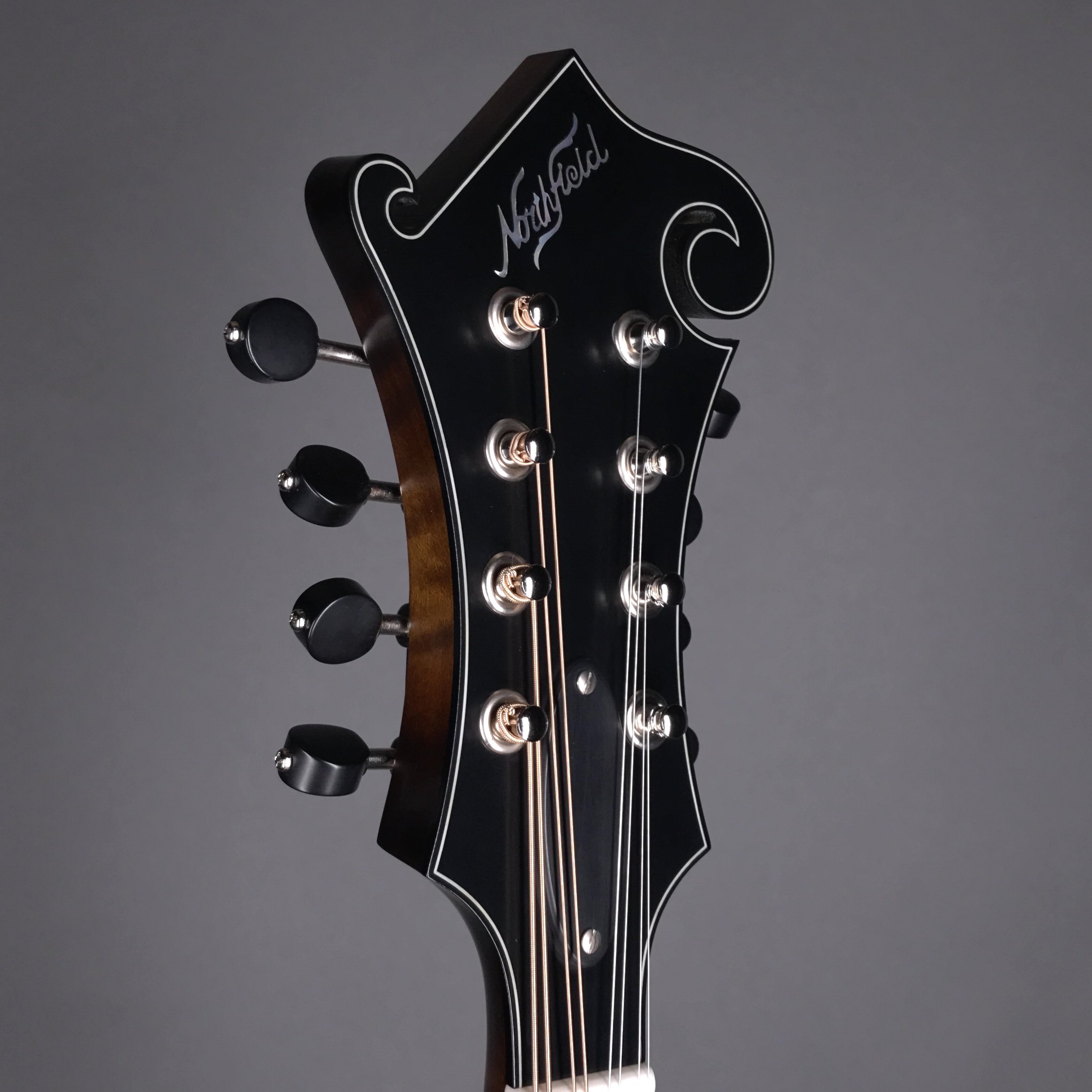 S-series standard sunburst (S2301037)-1.jpg