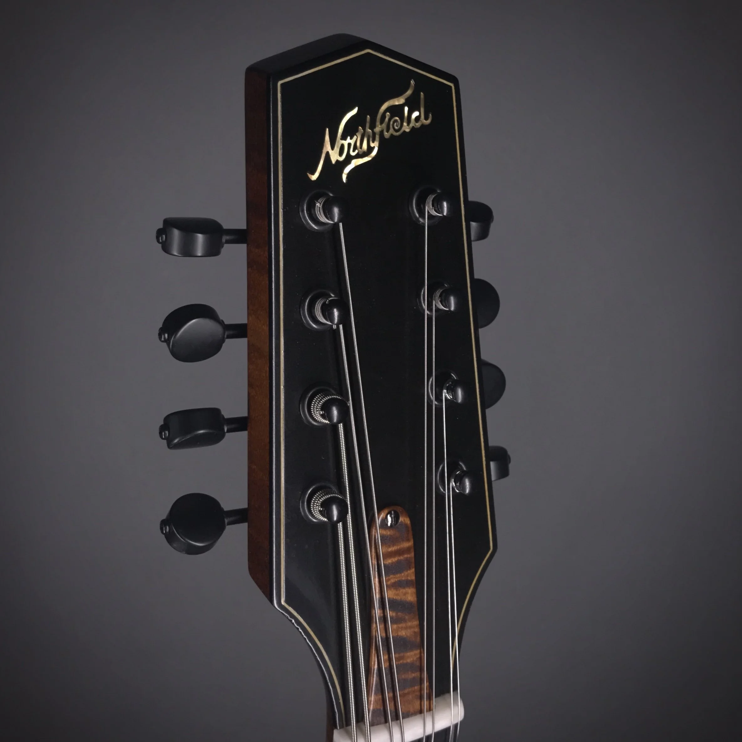 ギター on ott EleOcto — Northfield Mandolins