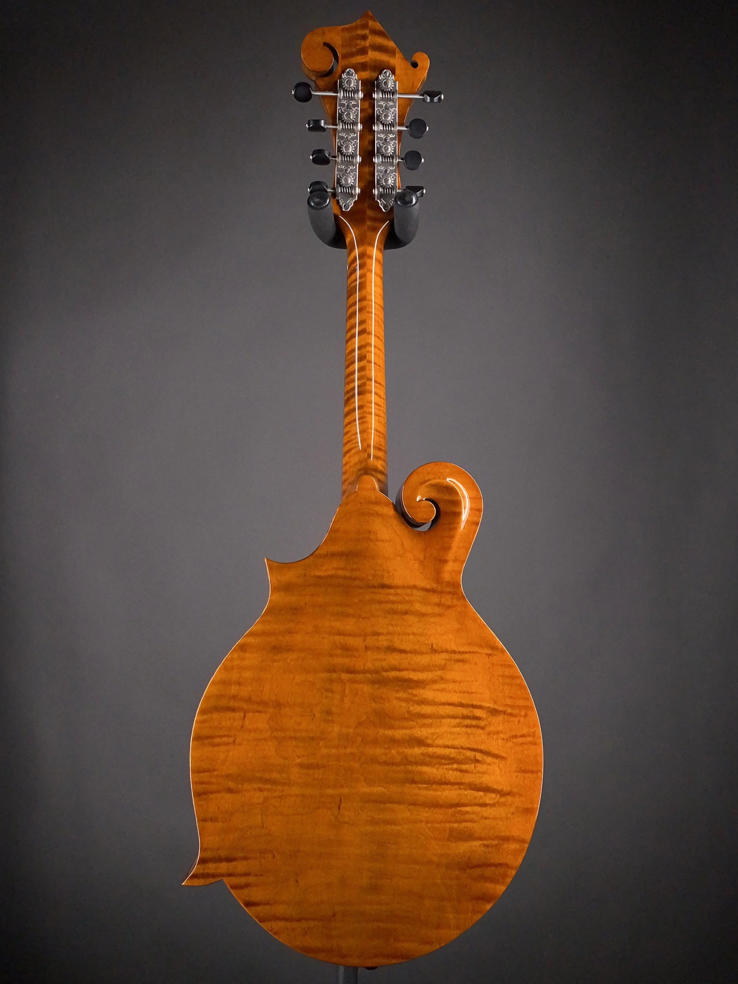 NFS-F5ALTD S2501435-5.jpg