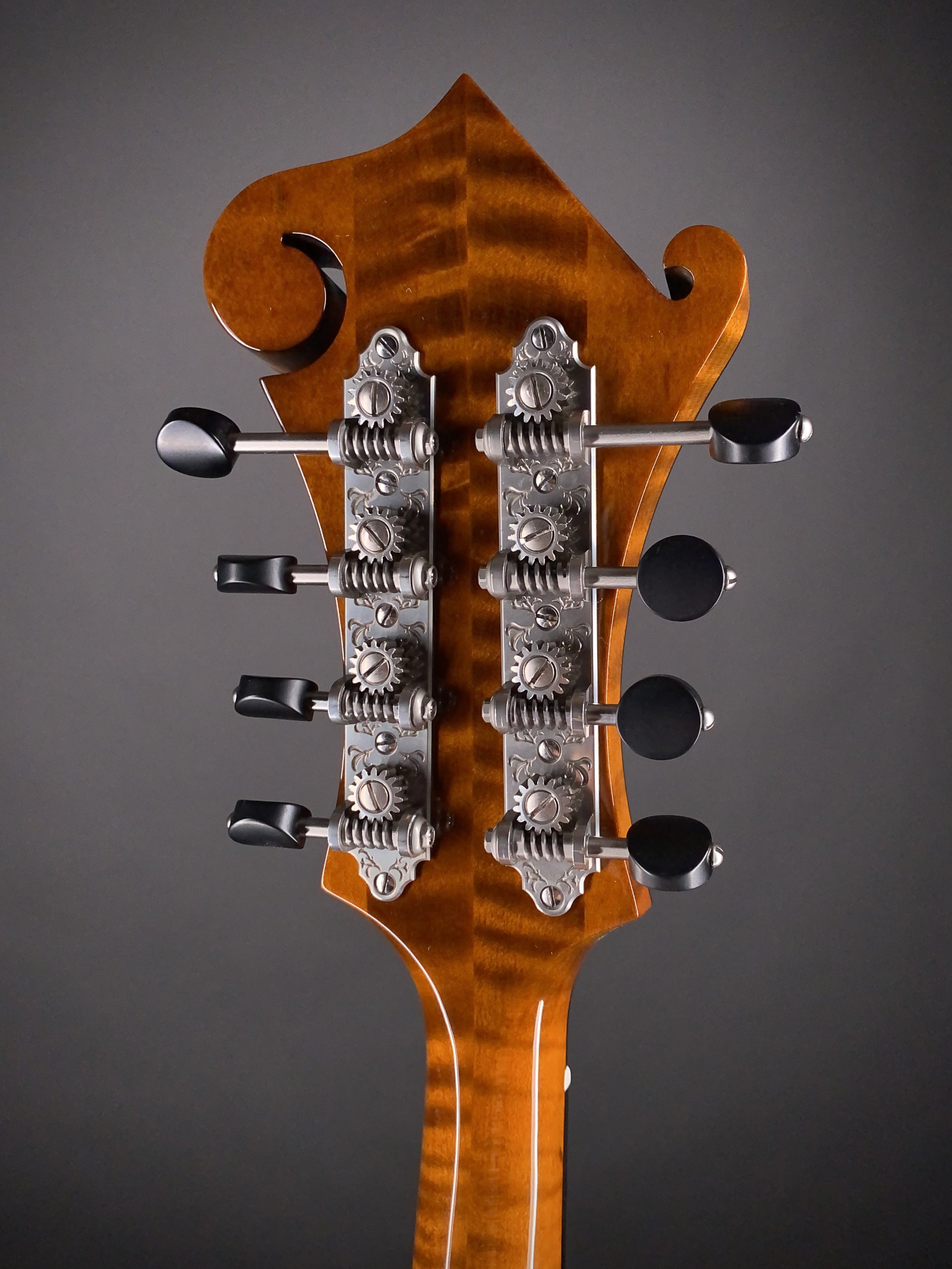 NFS-F5ALTD S2501435-3.jpg