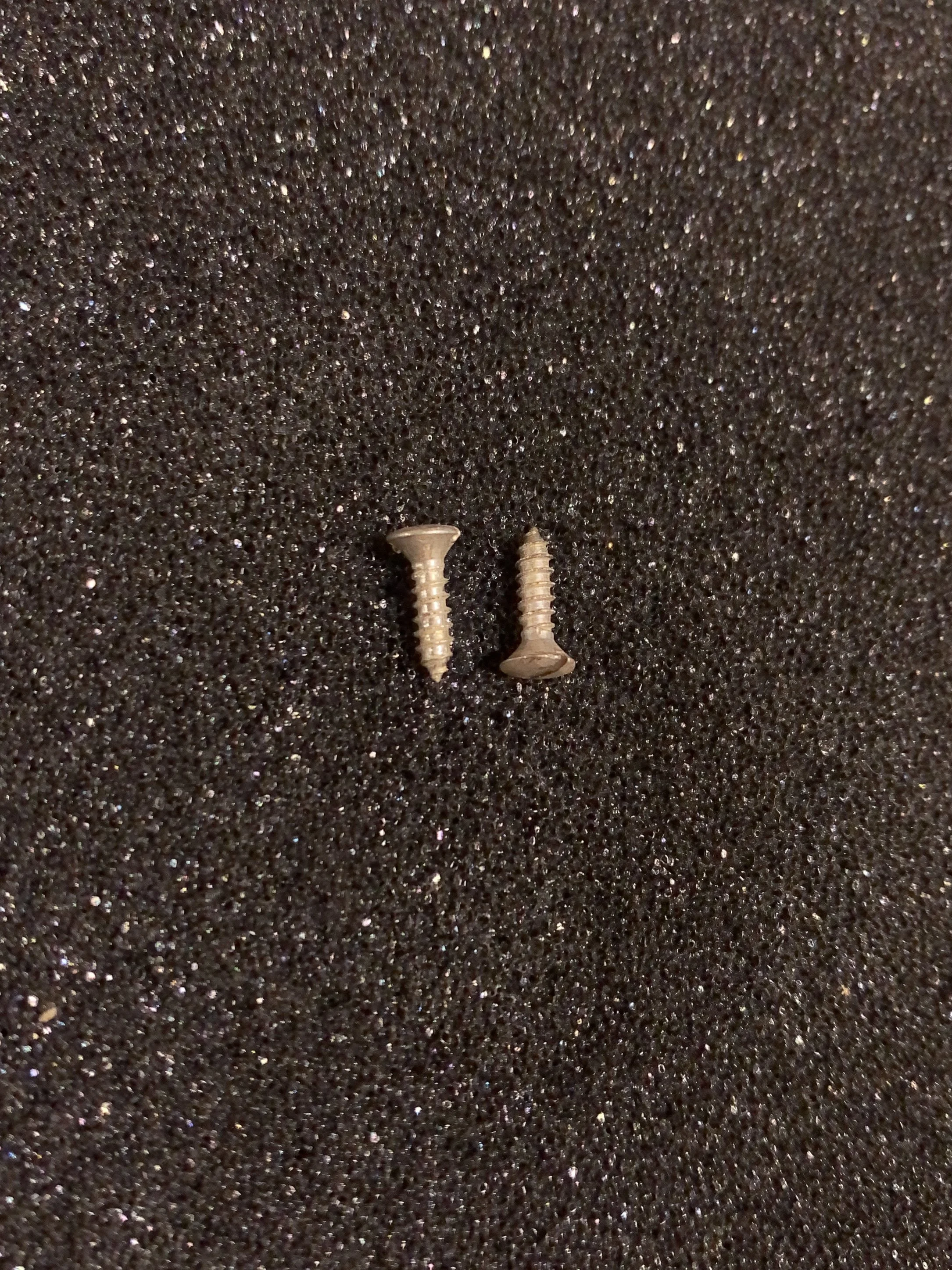 Truss Rod Cover Screw