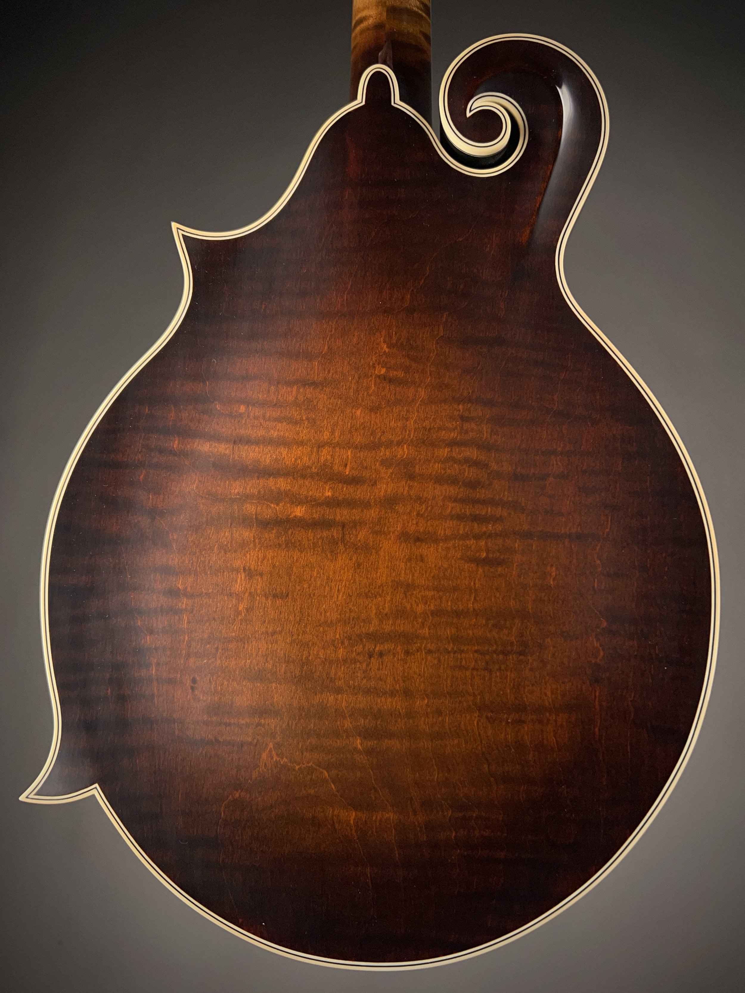 NFB-F5AWNLTD B250806-2.jpg