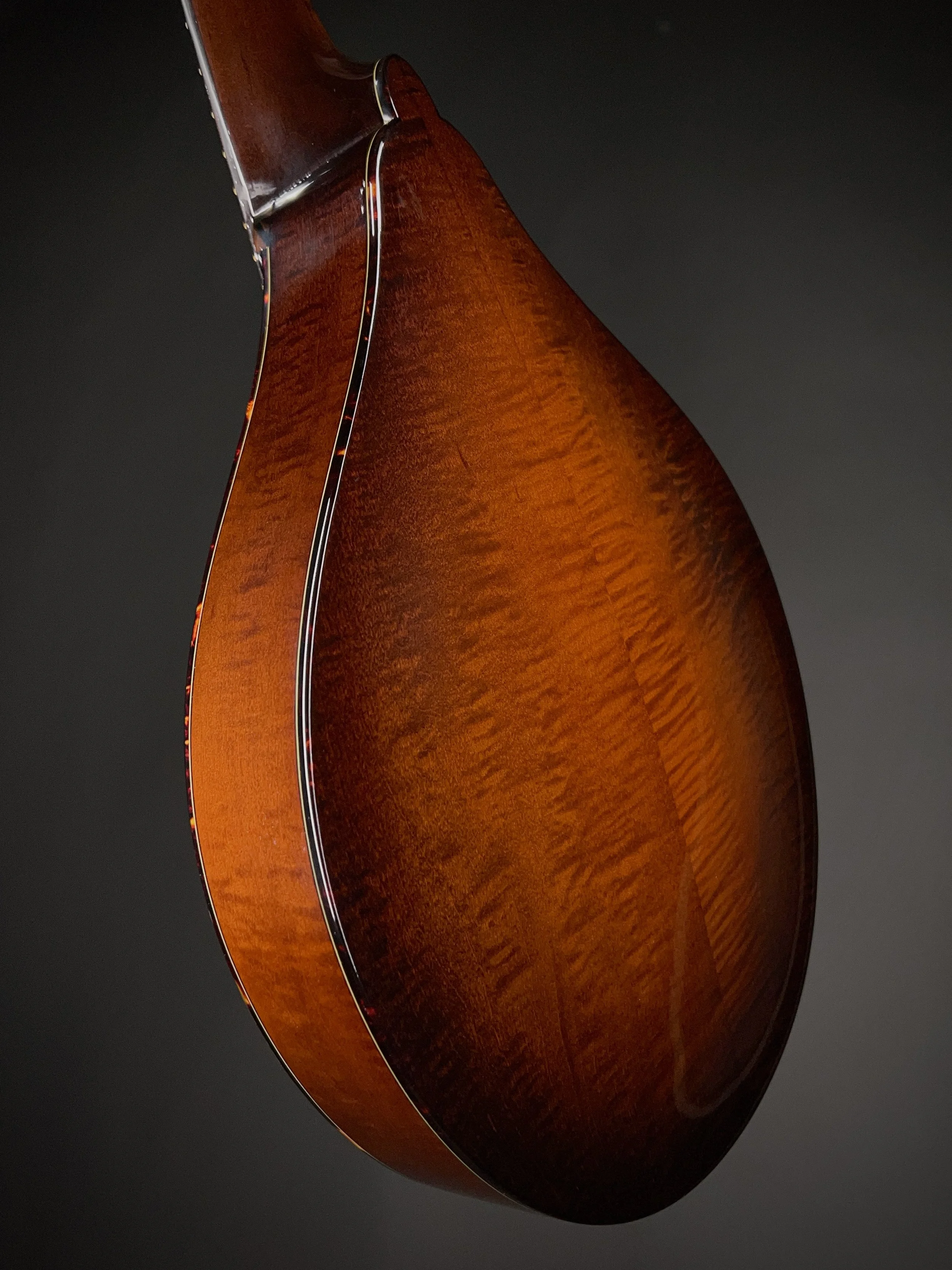 NFM-M5 MD250020-3.jpg