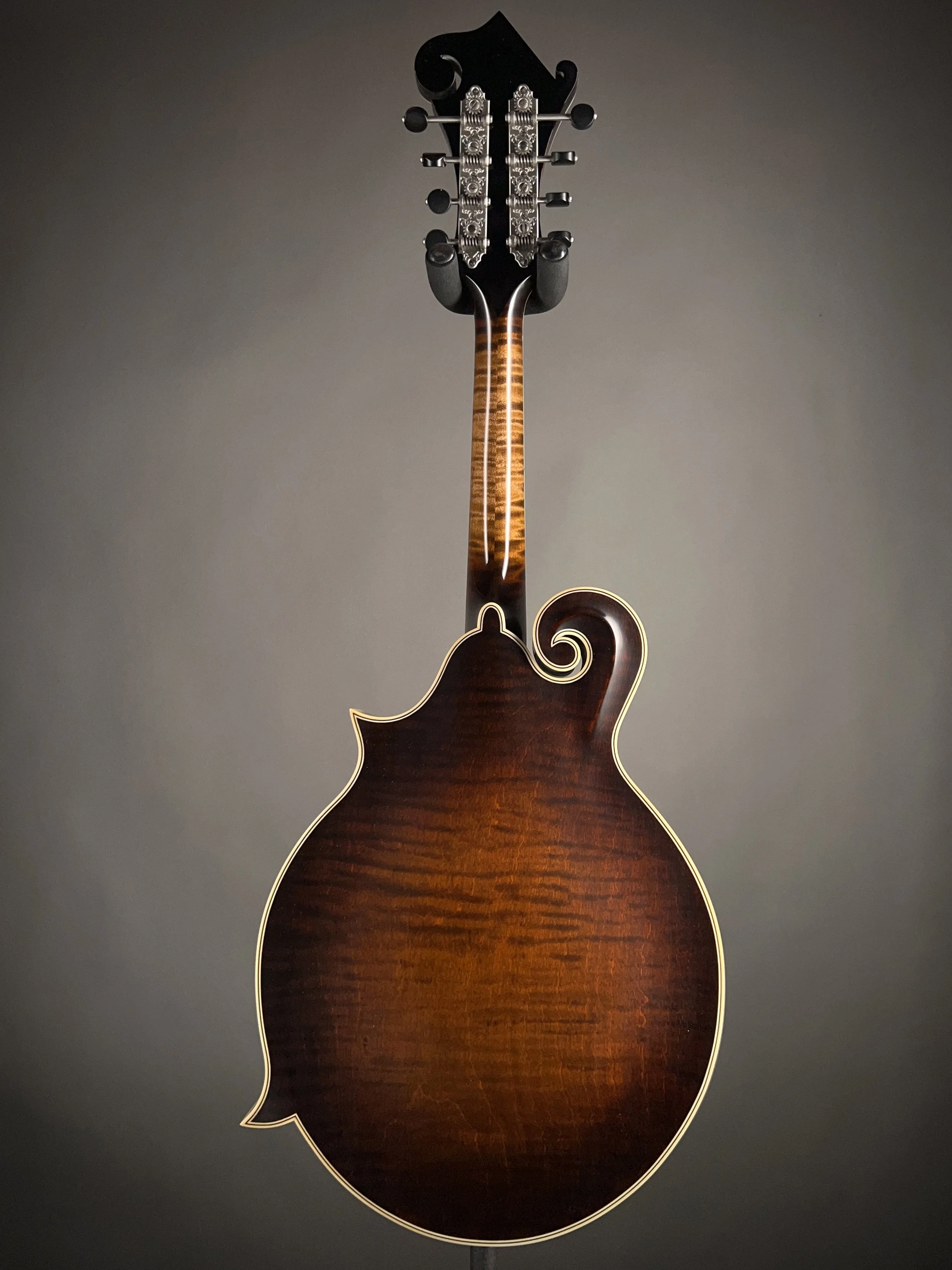 NFB-F5AWNLTD B250806-4.jpg