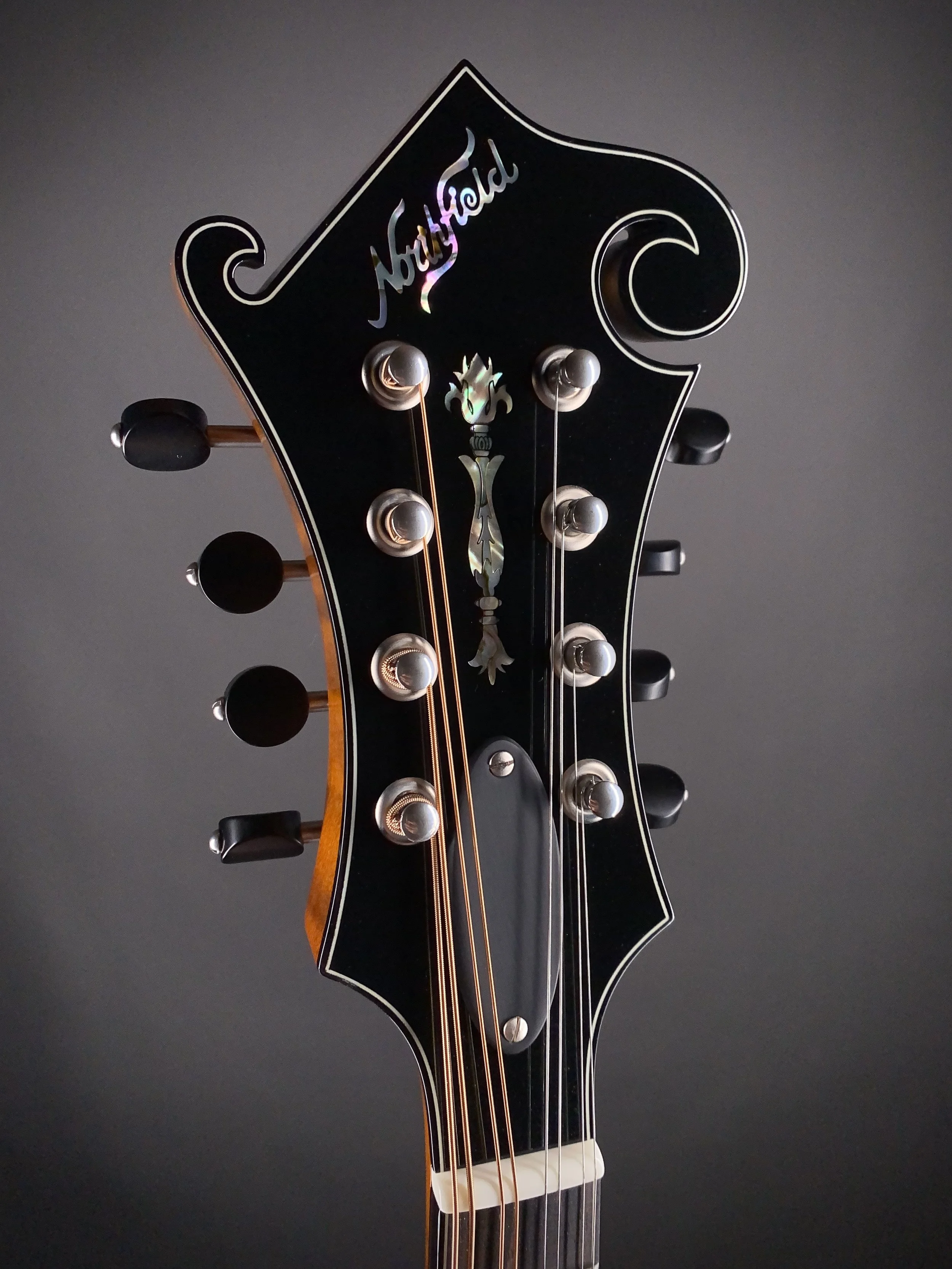 NFS-F5ALTD S2501435-4.jpg