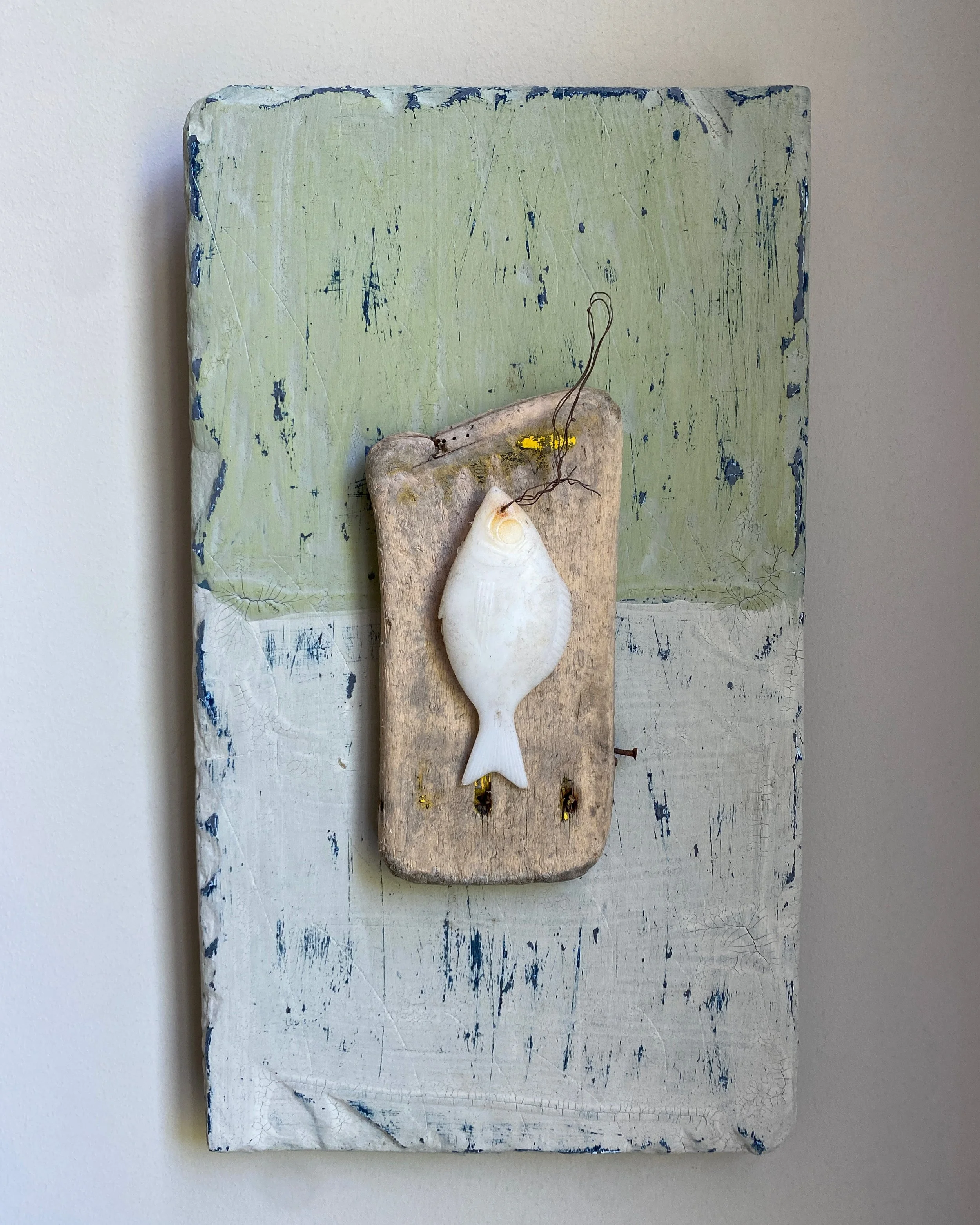 Catch of the day 17/5