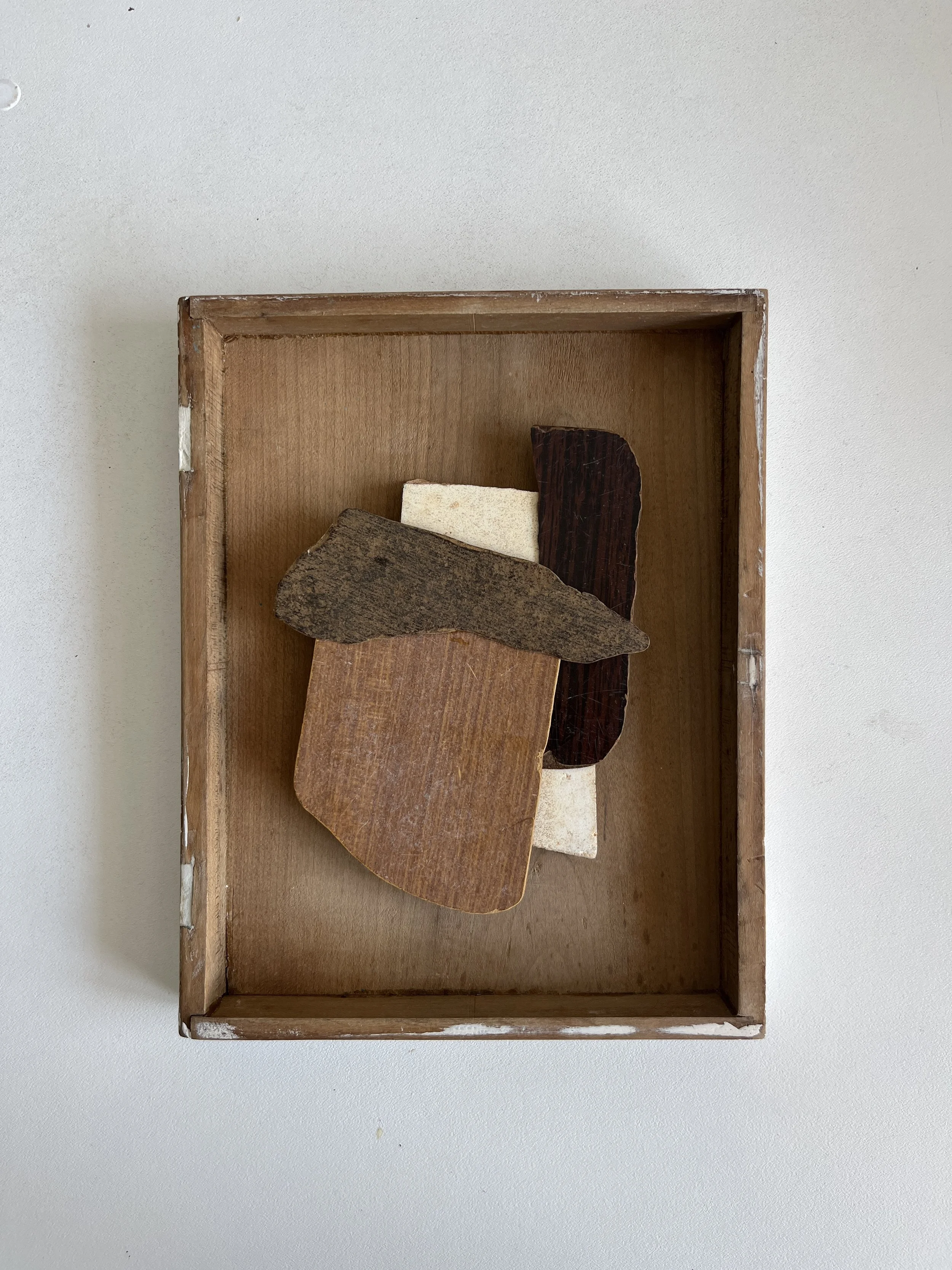 Brown 02