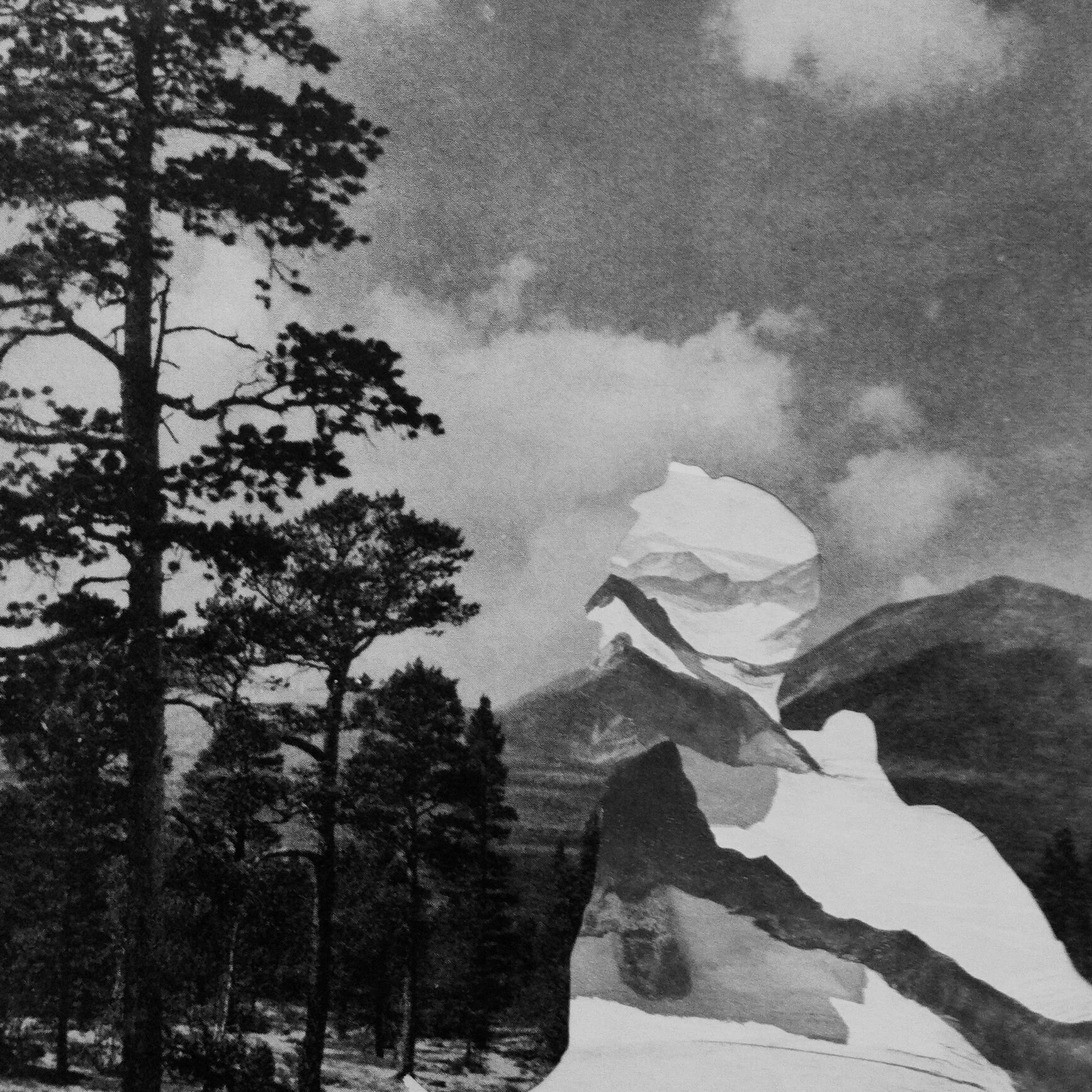  Vinden blåser gjennom lungene og tretoppene vaier i brystet                 