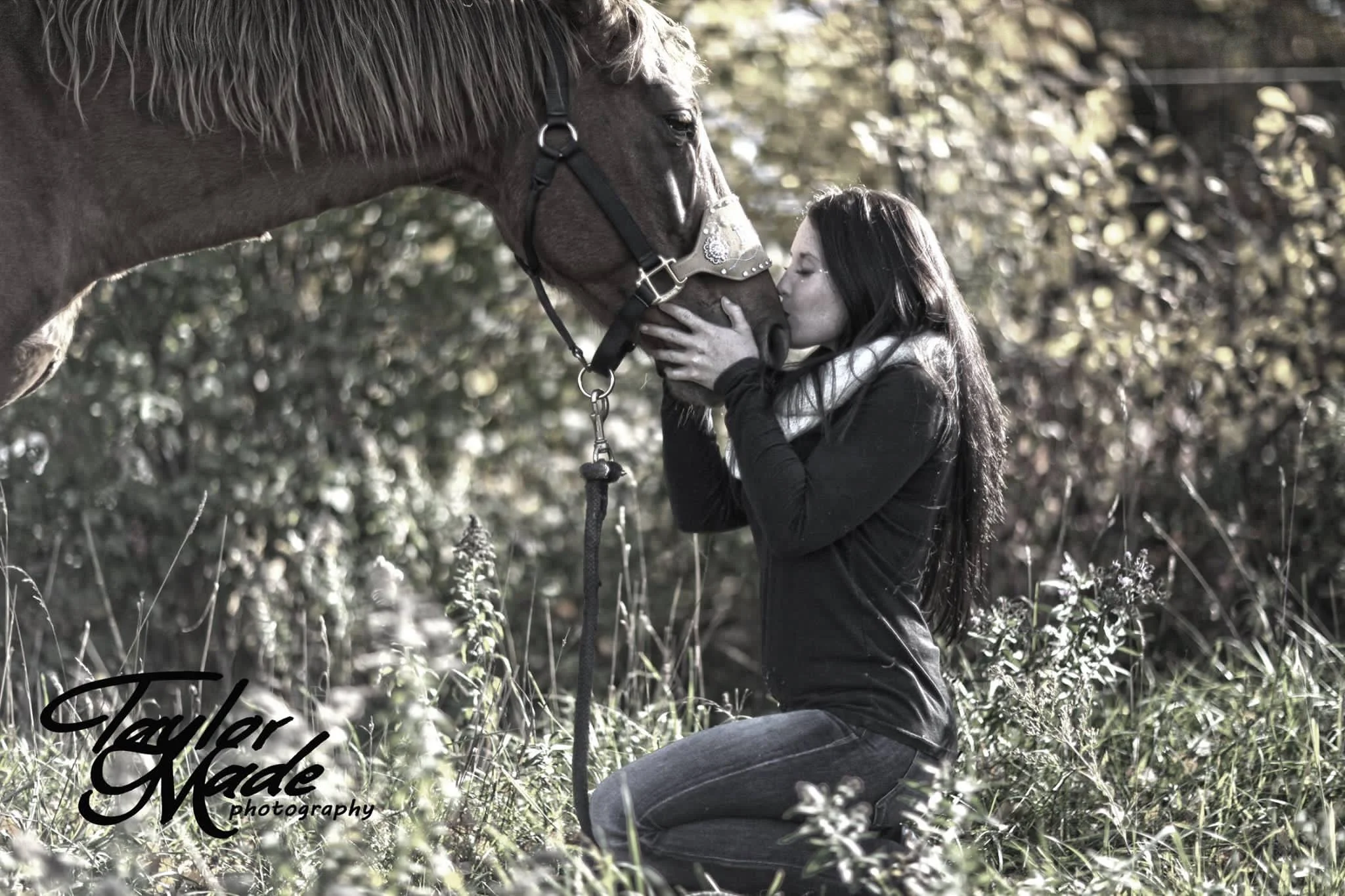 A Day In The Life Of A Stable Hand — Levade Equestrian App — Blog
