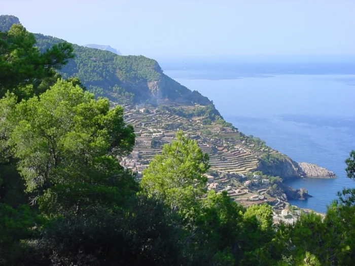Banyalbufar.jpg