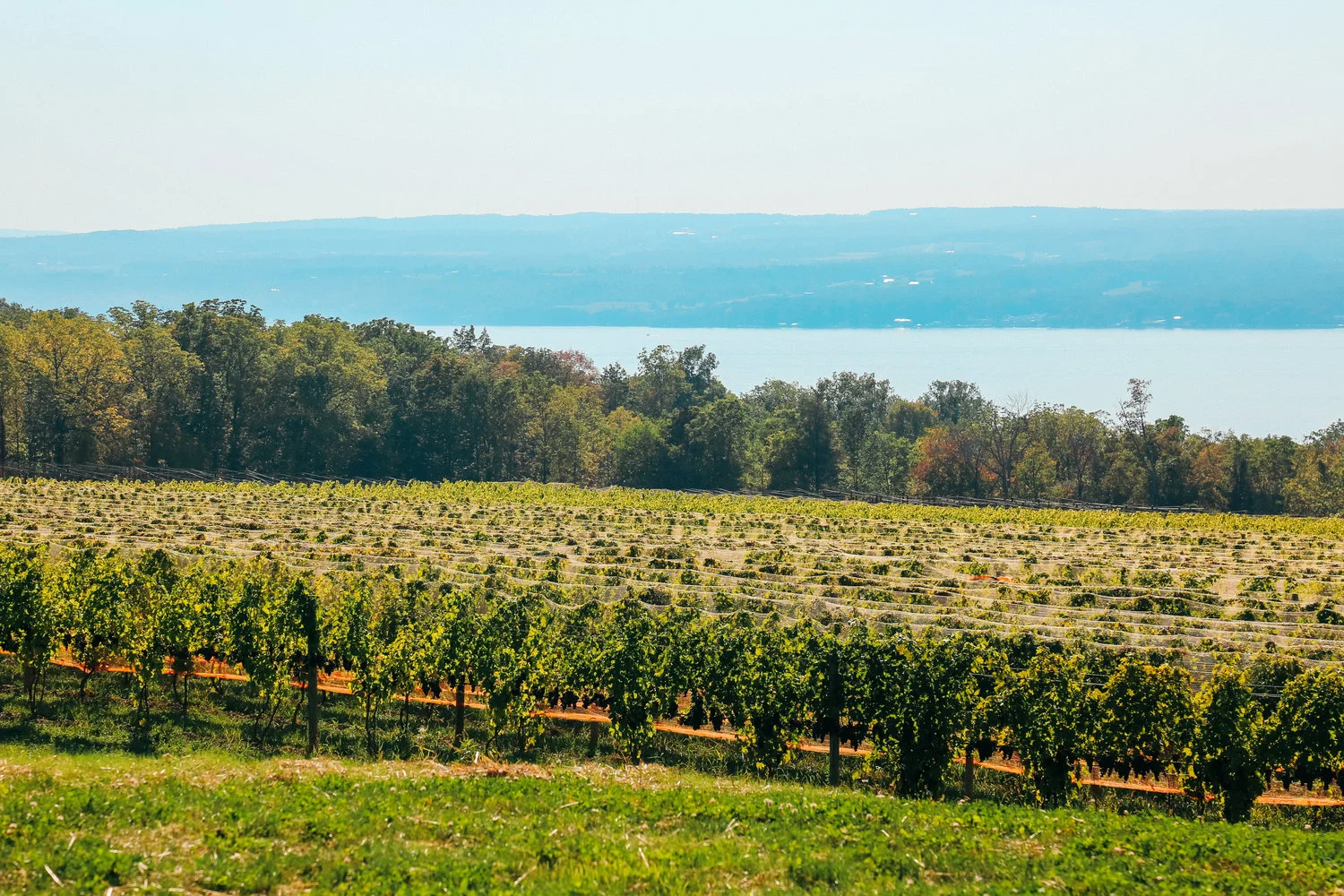 Finger+Lakes-4.jpg