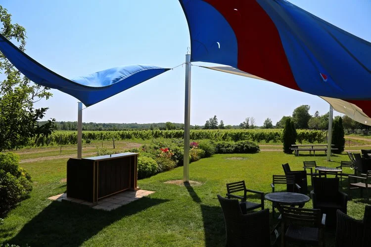Closson+Vineyard-3.jpg