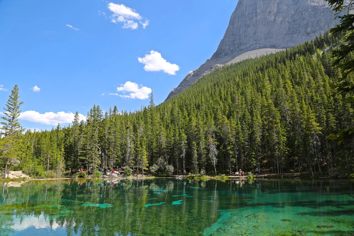 Grassi Lakes