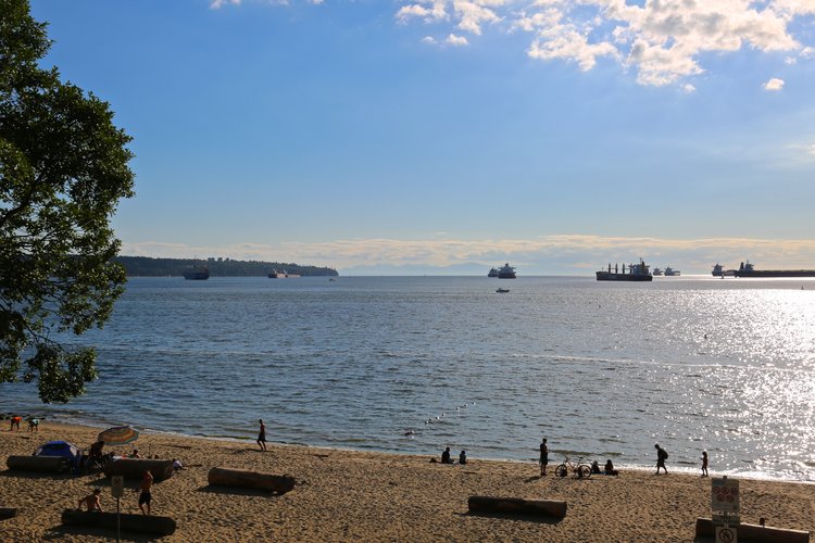 Third Beach - through Stanley Park