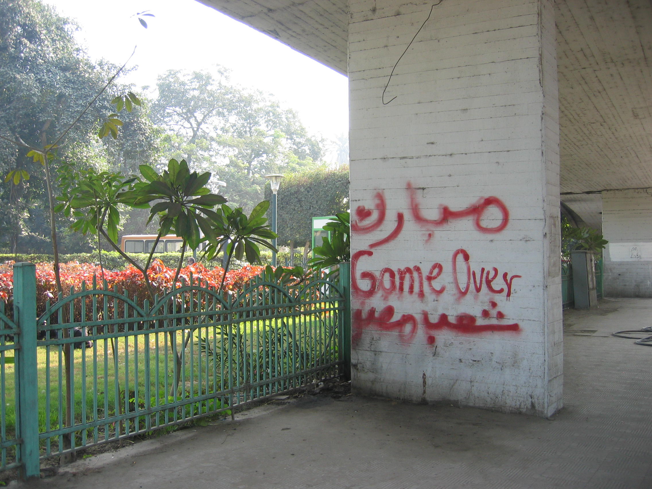  Cairo, 2011. 