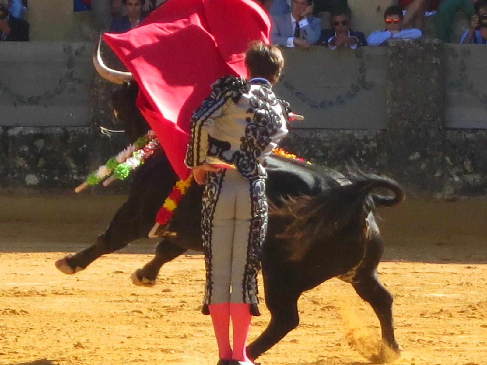 ElJuliASS2.JPG