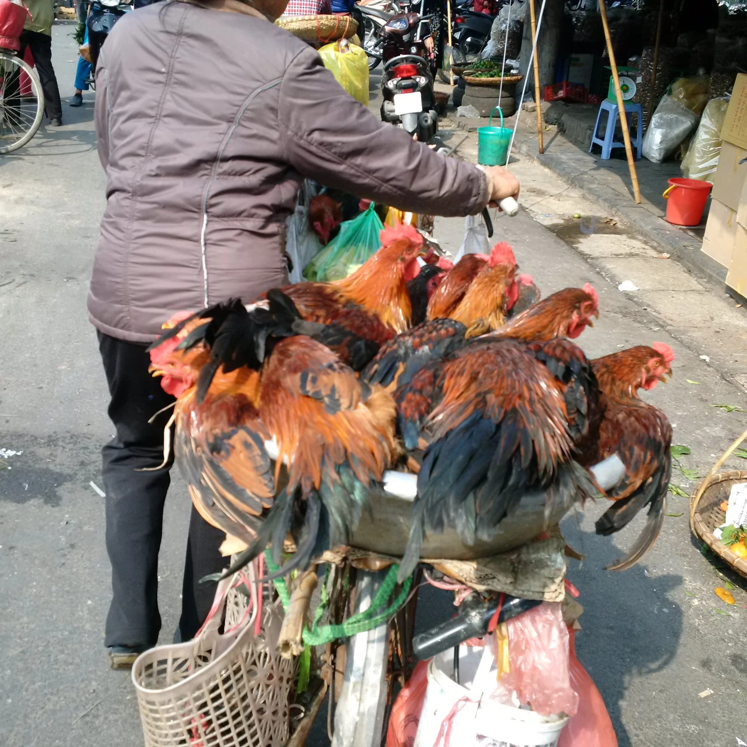 Hanoi.