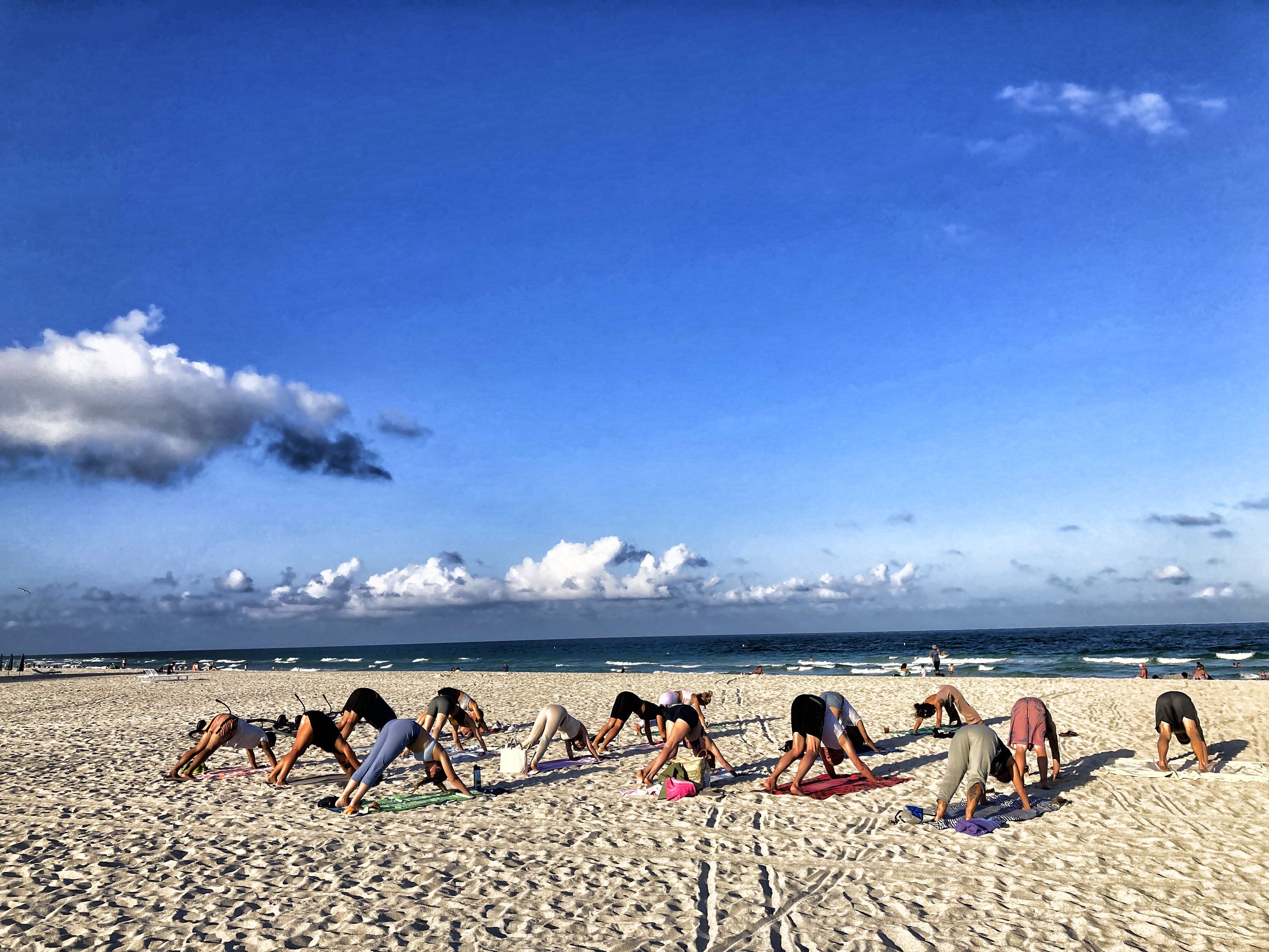 SOUTH BEACH | Downward dogs