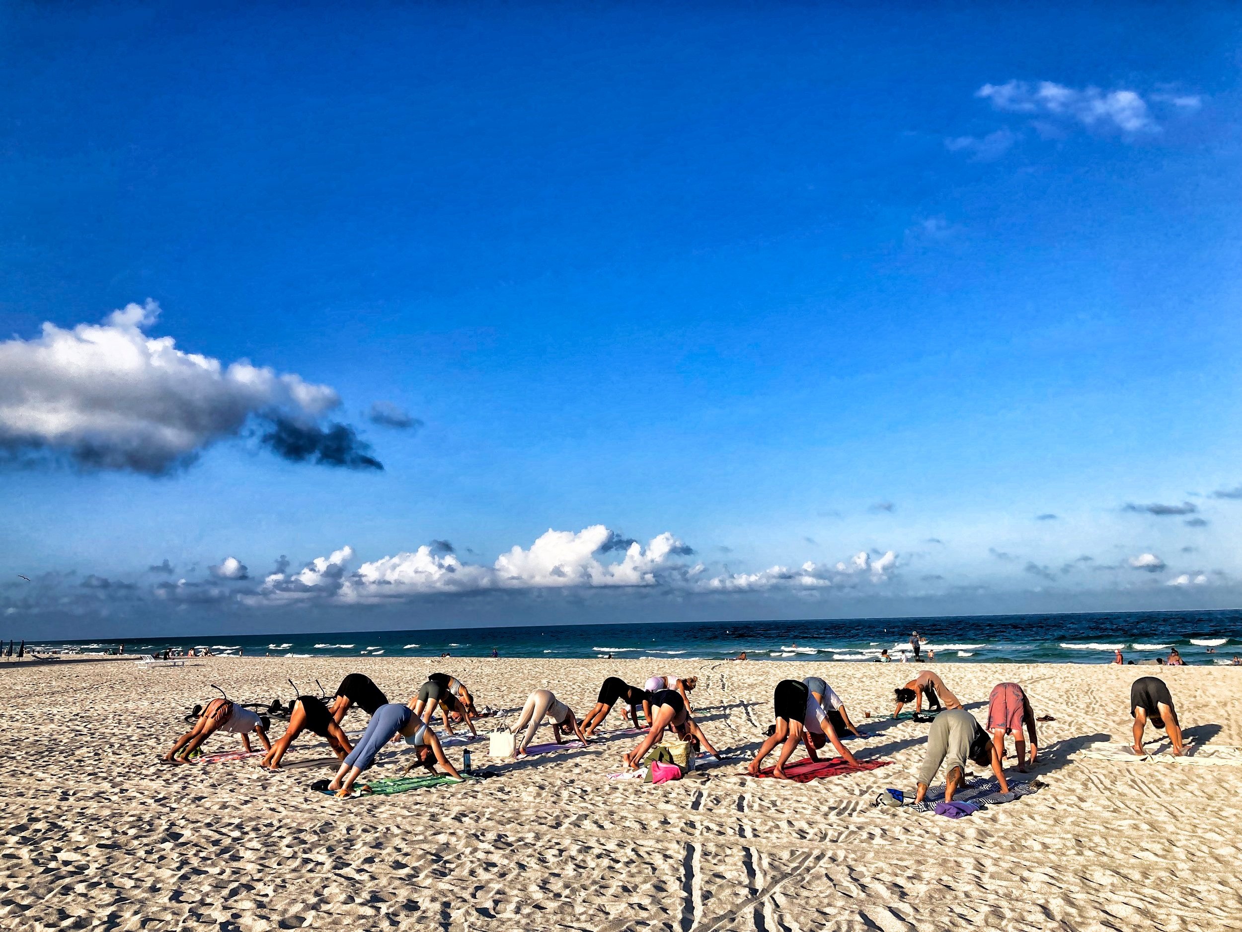  Downward dogs, Miami. 