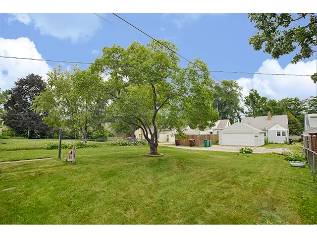 Back Yard_2a.jpg