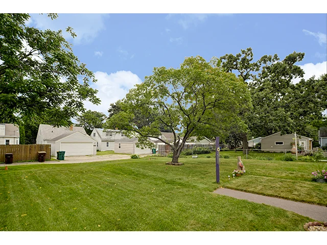 Back Yard_3a.jpg