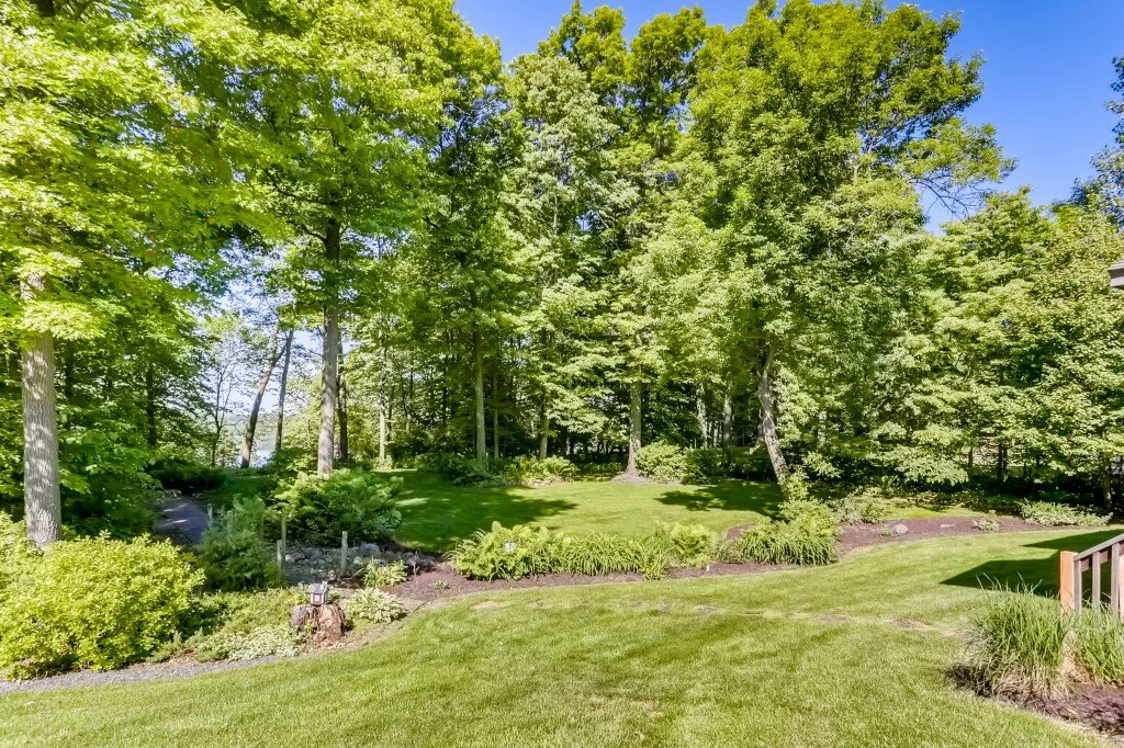 35 Back Yard.jpg