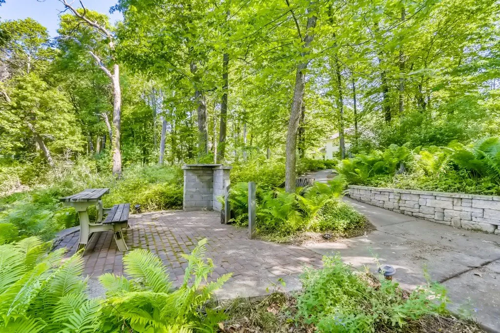37 Back Yard.jpg