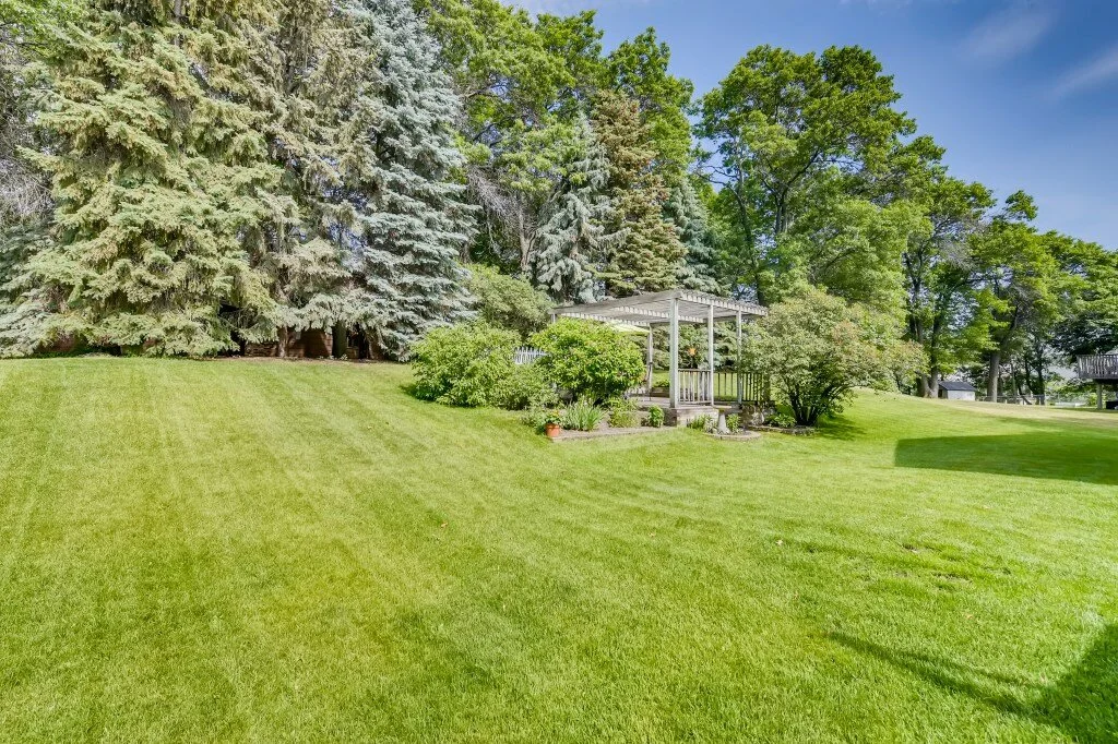 30 Back Yard.jpg