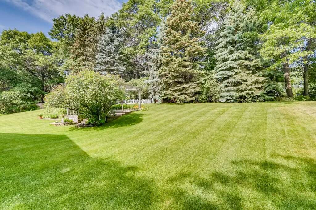 31 Back Yard.jpg