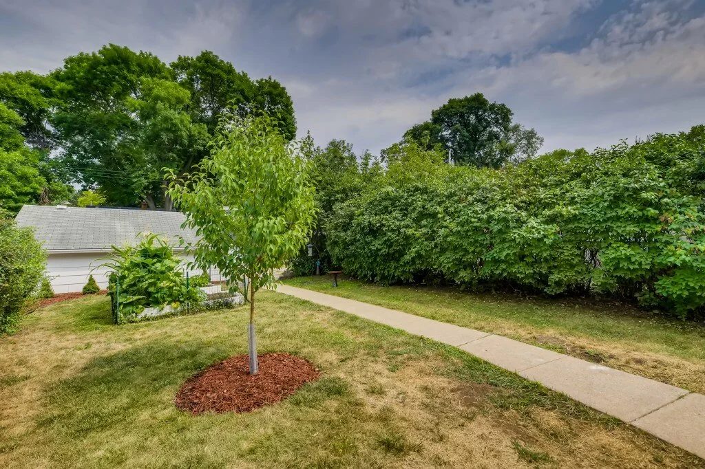 32 Back Yard.jpg
