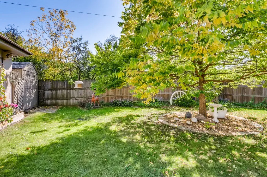 28 Back Yard.jpg