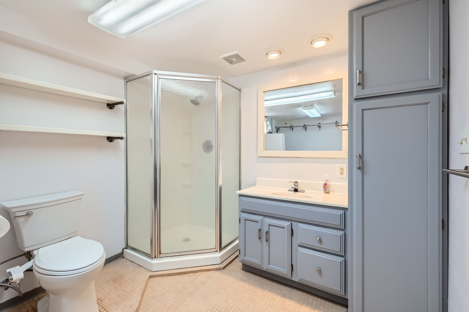 2223 Cleveland st ne - Web Quality - 022 - 30 Lower Level Bathroom.jpg