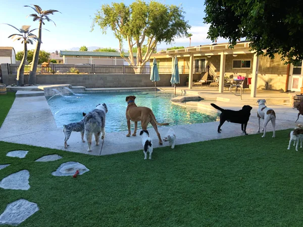 Poolside