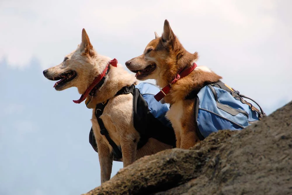 Hiking is a great option for both of you getting out and about.