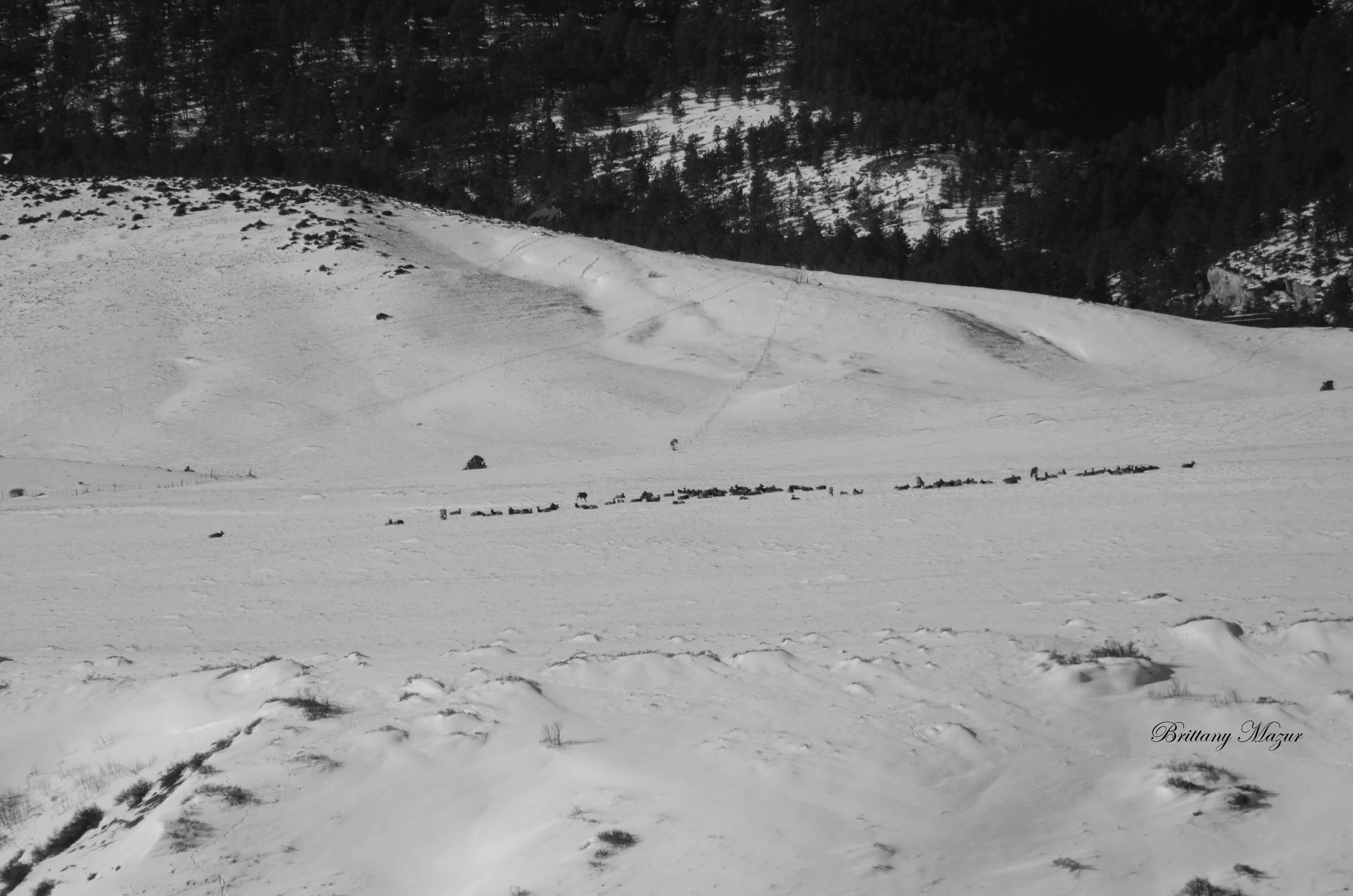 _DSC2878.JPG