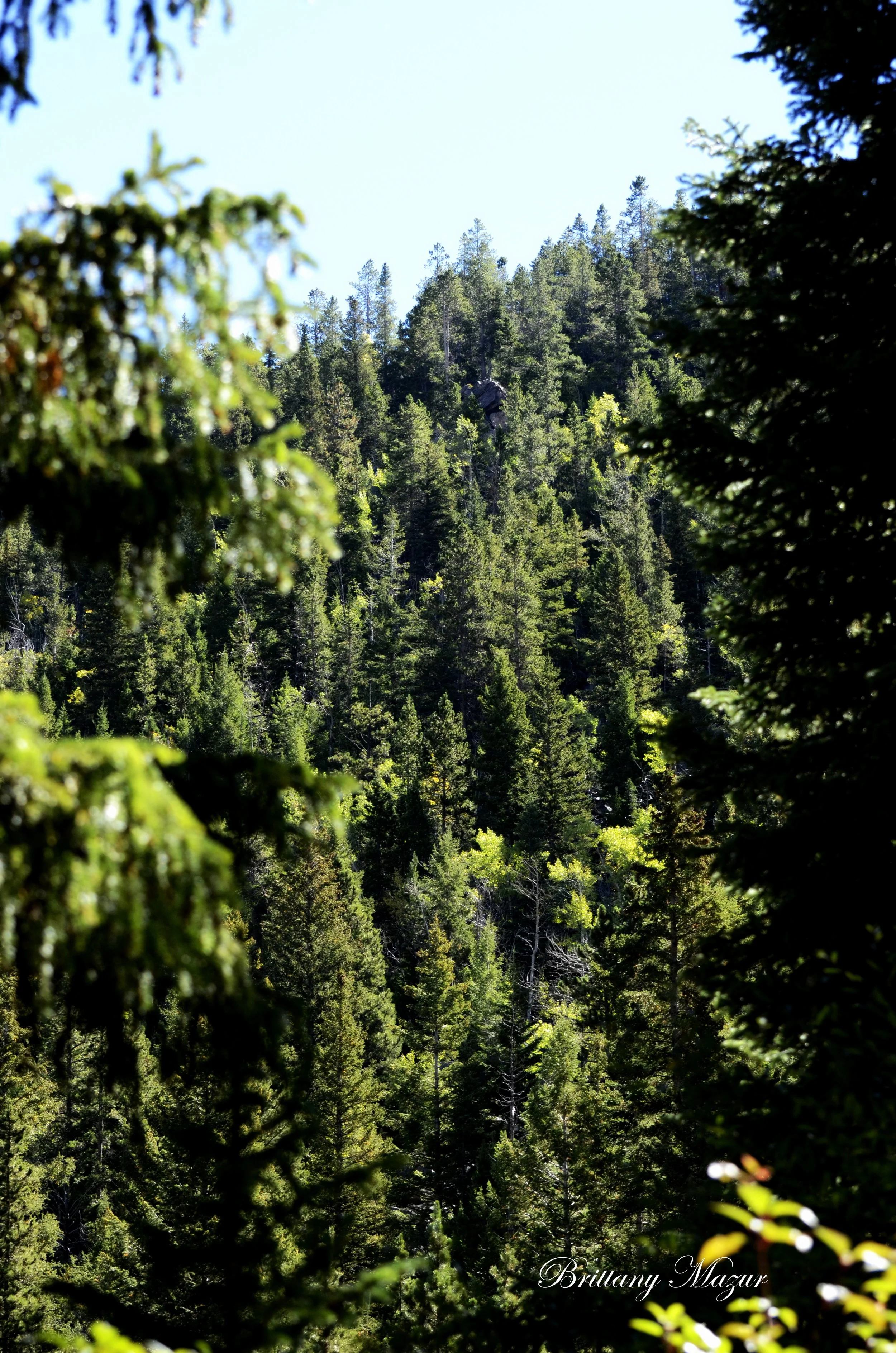 _DSC1483.JPG