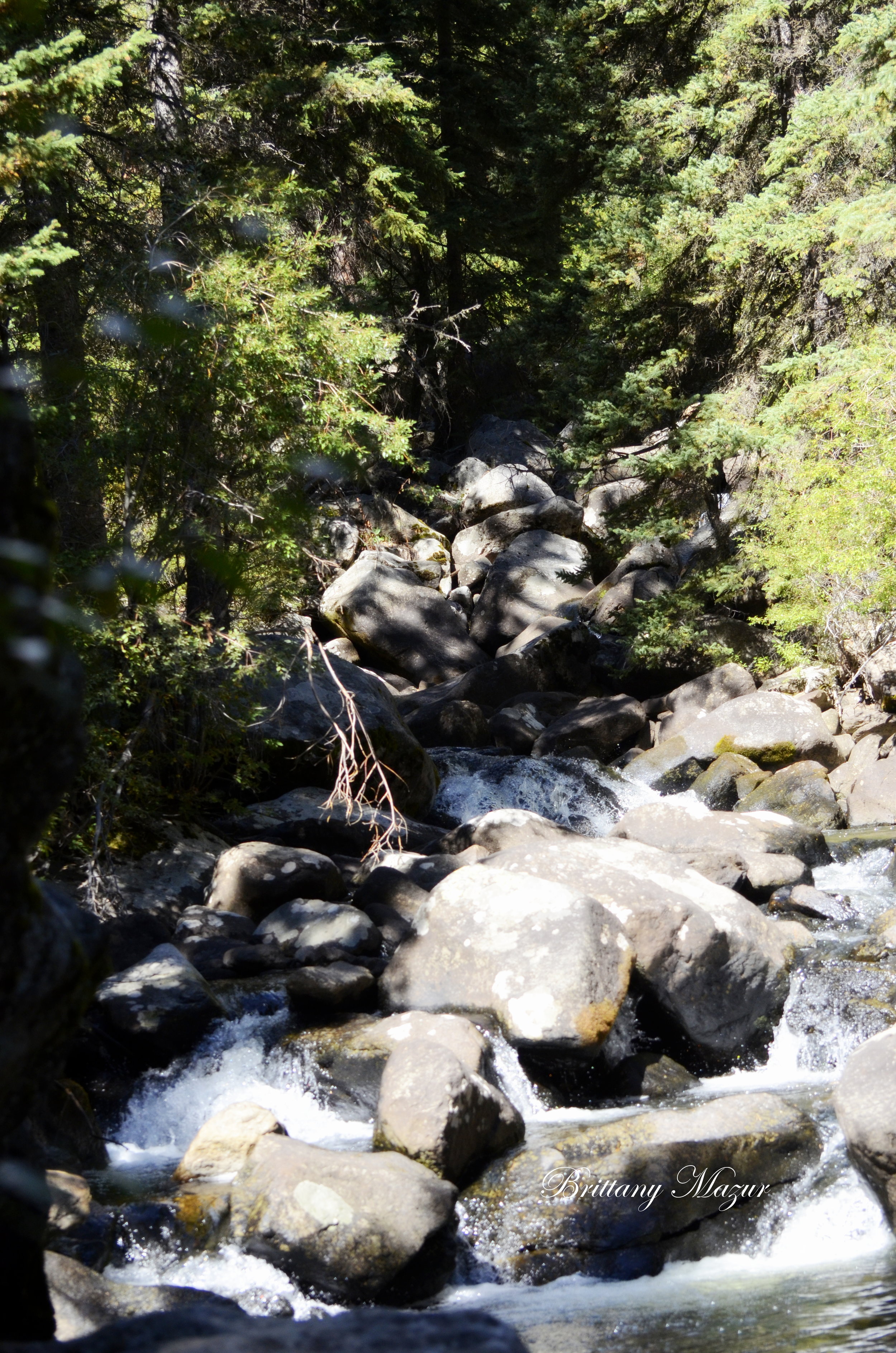 _DSC1500.JPG