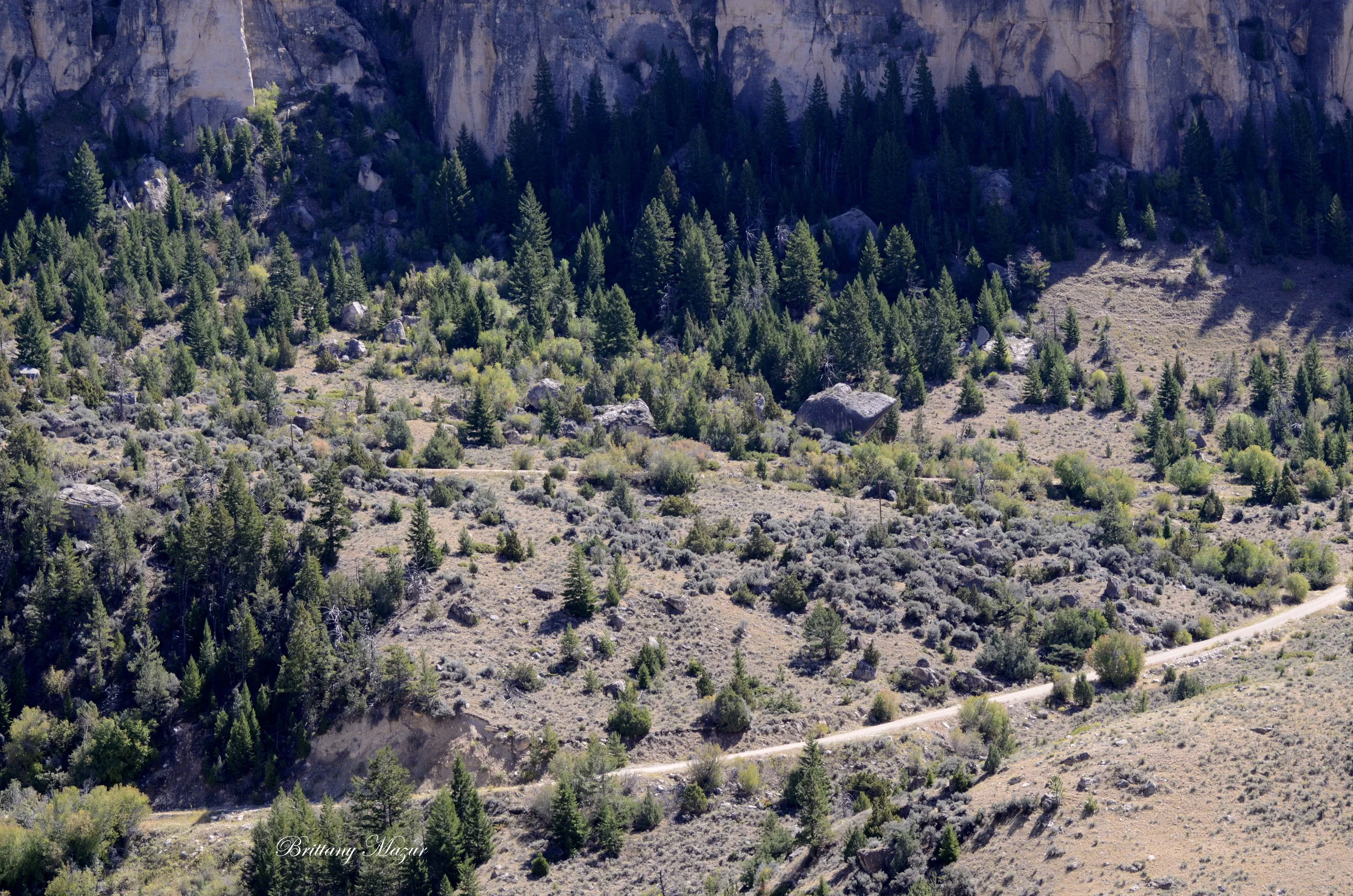 _DSC1550.JPG