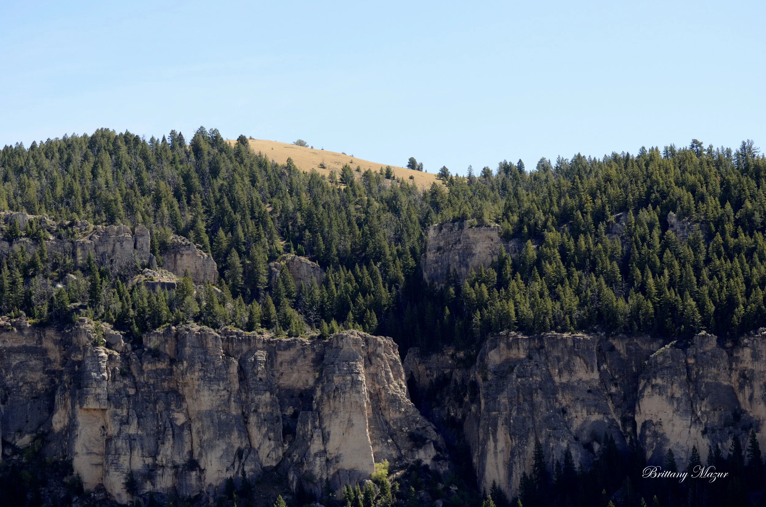 _DSC1553.JPG