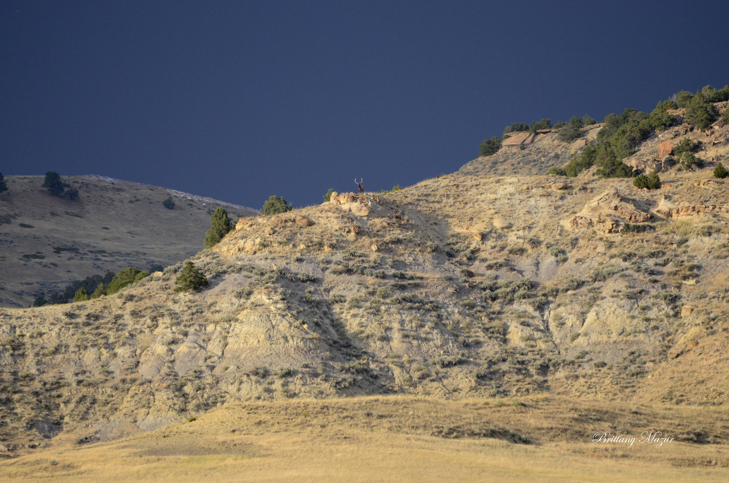 _DSC1189 - Copy - Copy - Copy.JPG