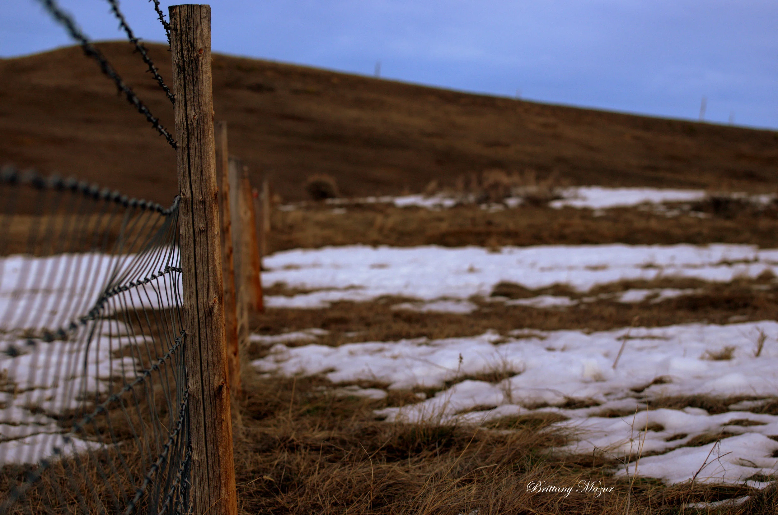 _DSC3175.NEF.jpg