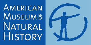 AMNH.jpeg