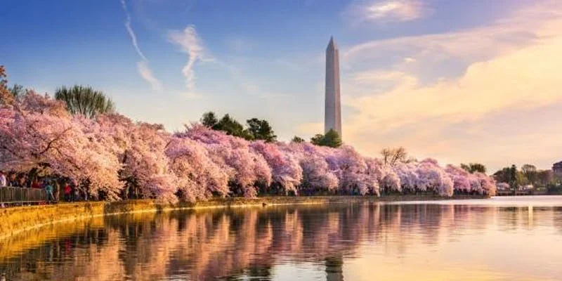 WASHINGTON D.C.