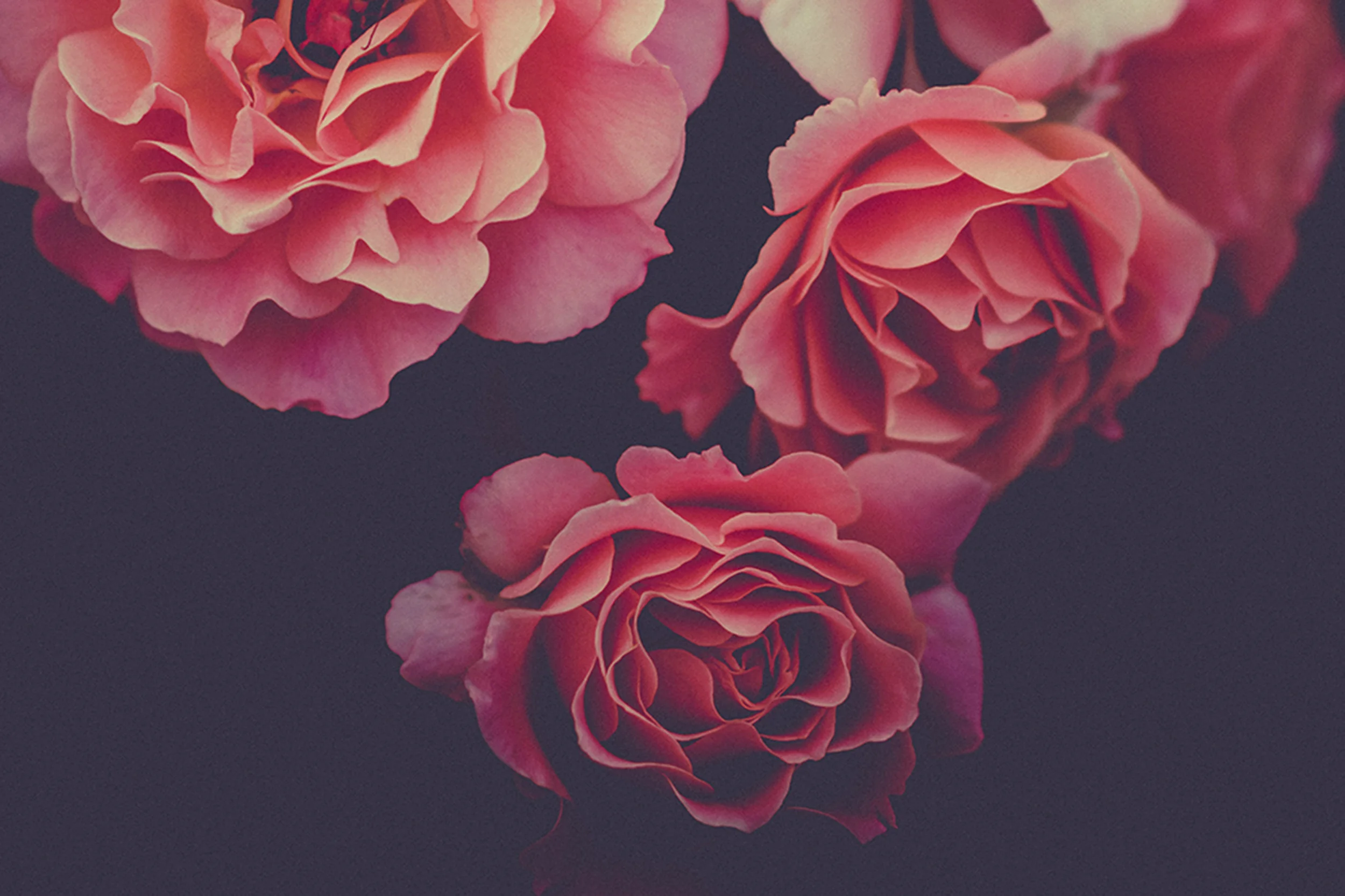 Valentines Banner Website 2018.jpg