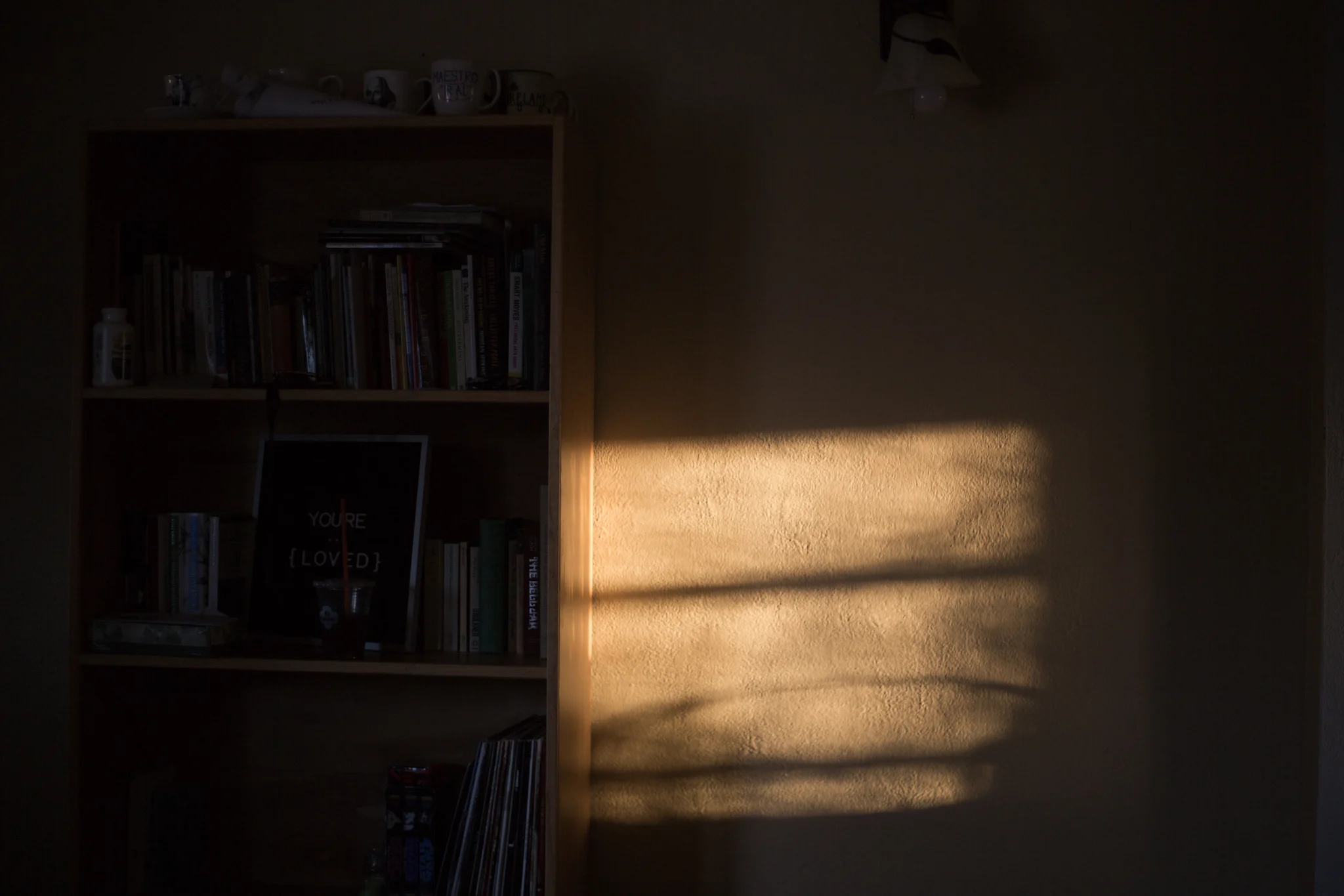 BS0A7078.jpg